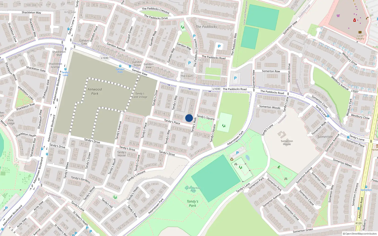 Overhead map showing the location of 20 Tandy's Walk, Lucan