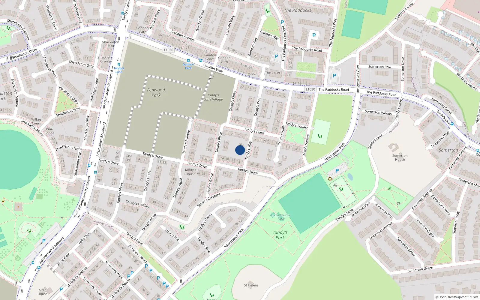 Overhead map showing the location of 20 Tandy's Way, Lucan