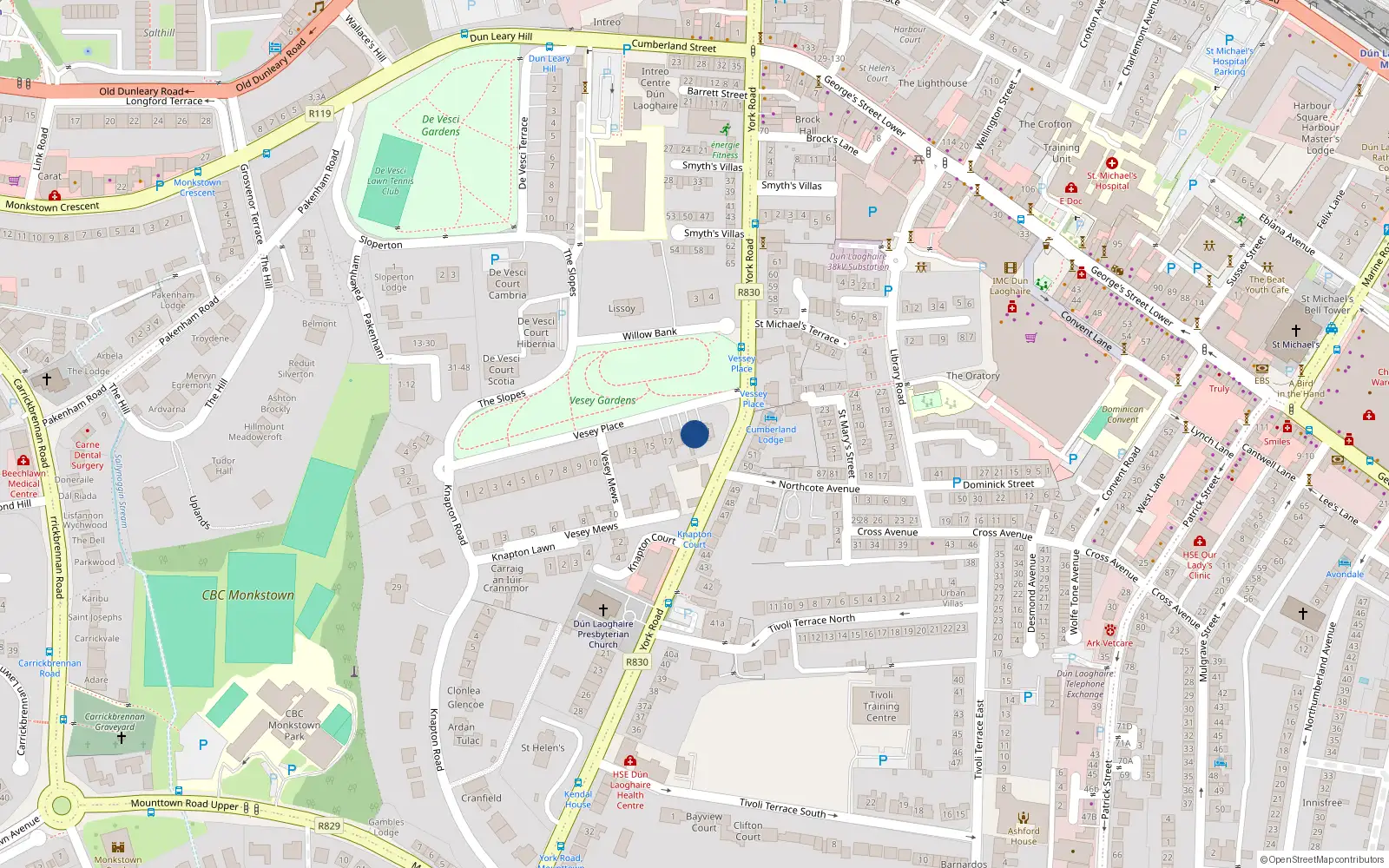 Overhead map showing the location of 20 Vesey Place, Co Dublin