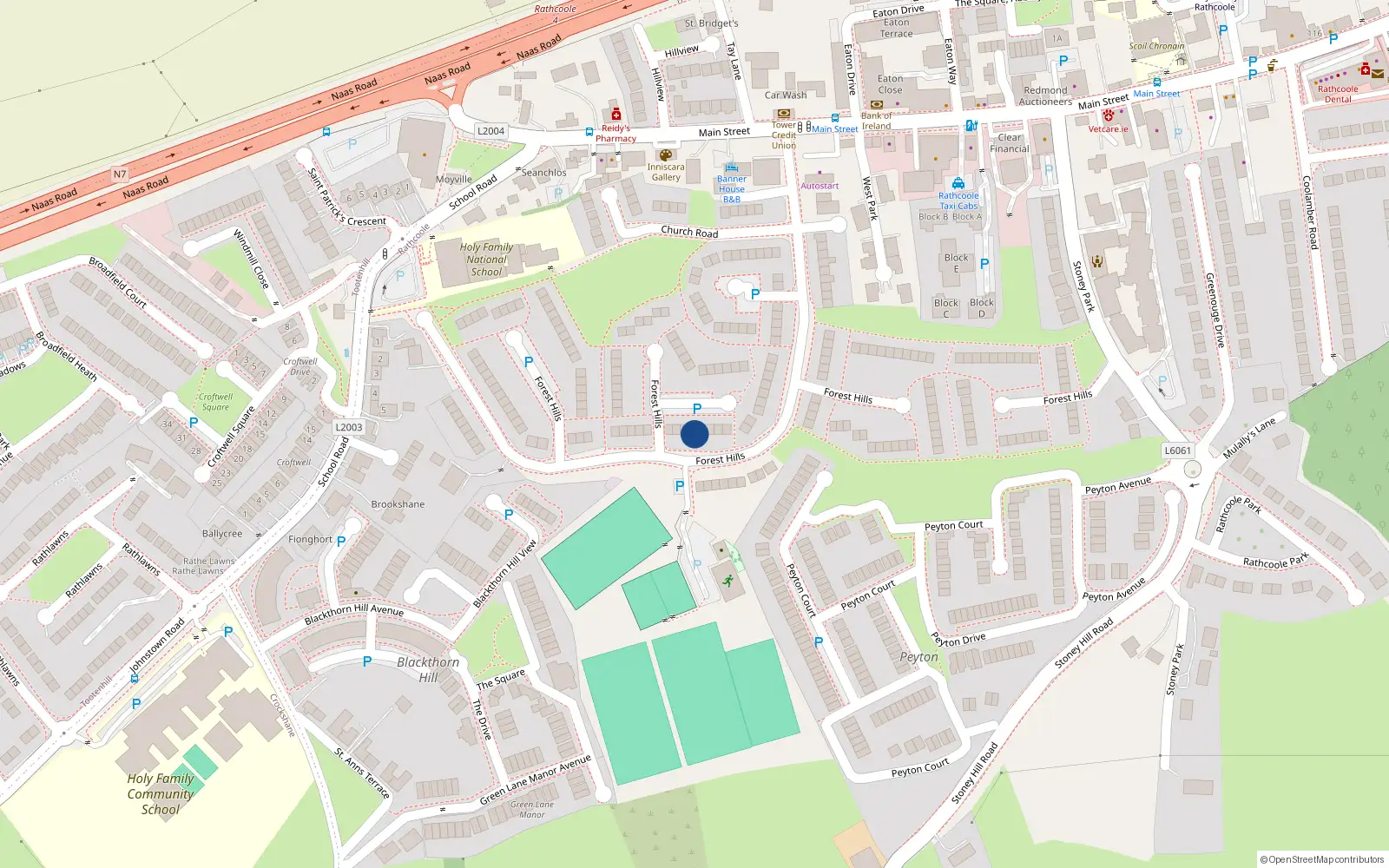Overhead map showing the location of 209 Forest Hills, Rathcoole
