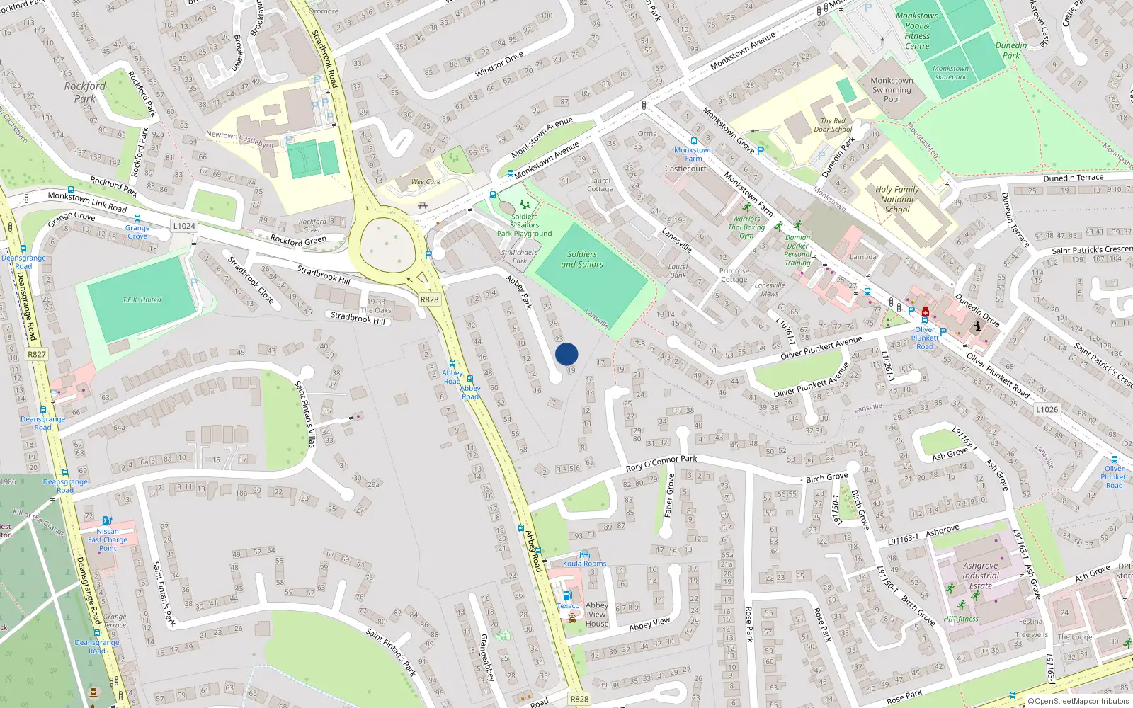 Overhead map showing the location of 21 Abbey Park, Monkstown
