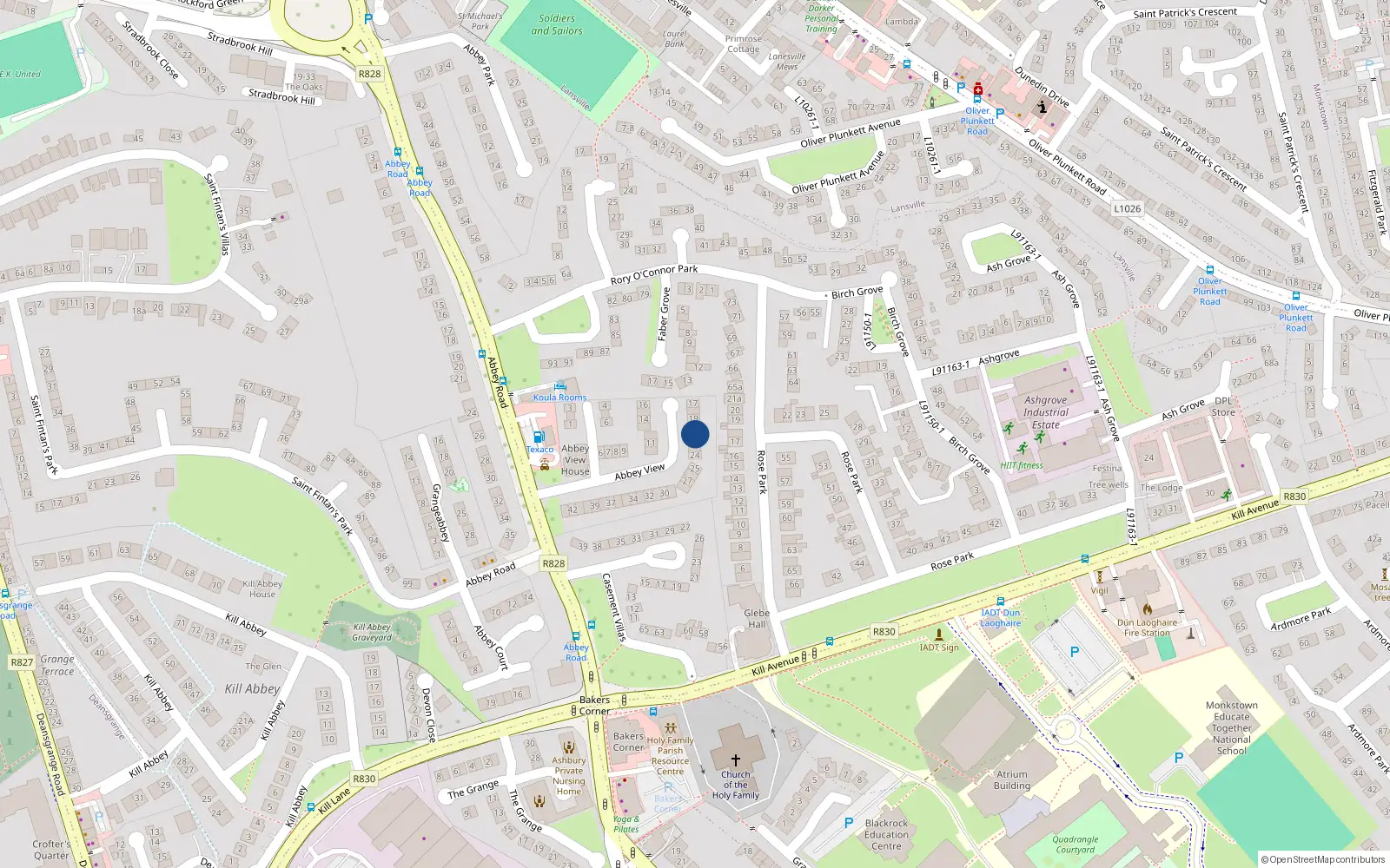 Overhead map showing the location of 21 Abbey View, Monkstown