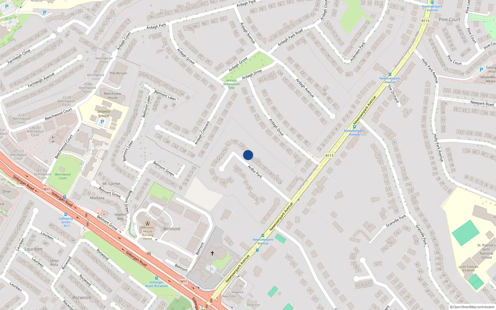 Overhead map showing the location of 21 Ardlui Park, Newtownpark Avenue, Blackrock