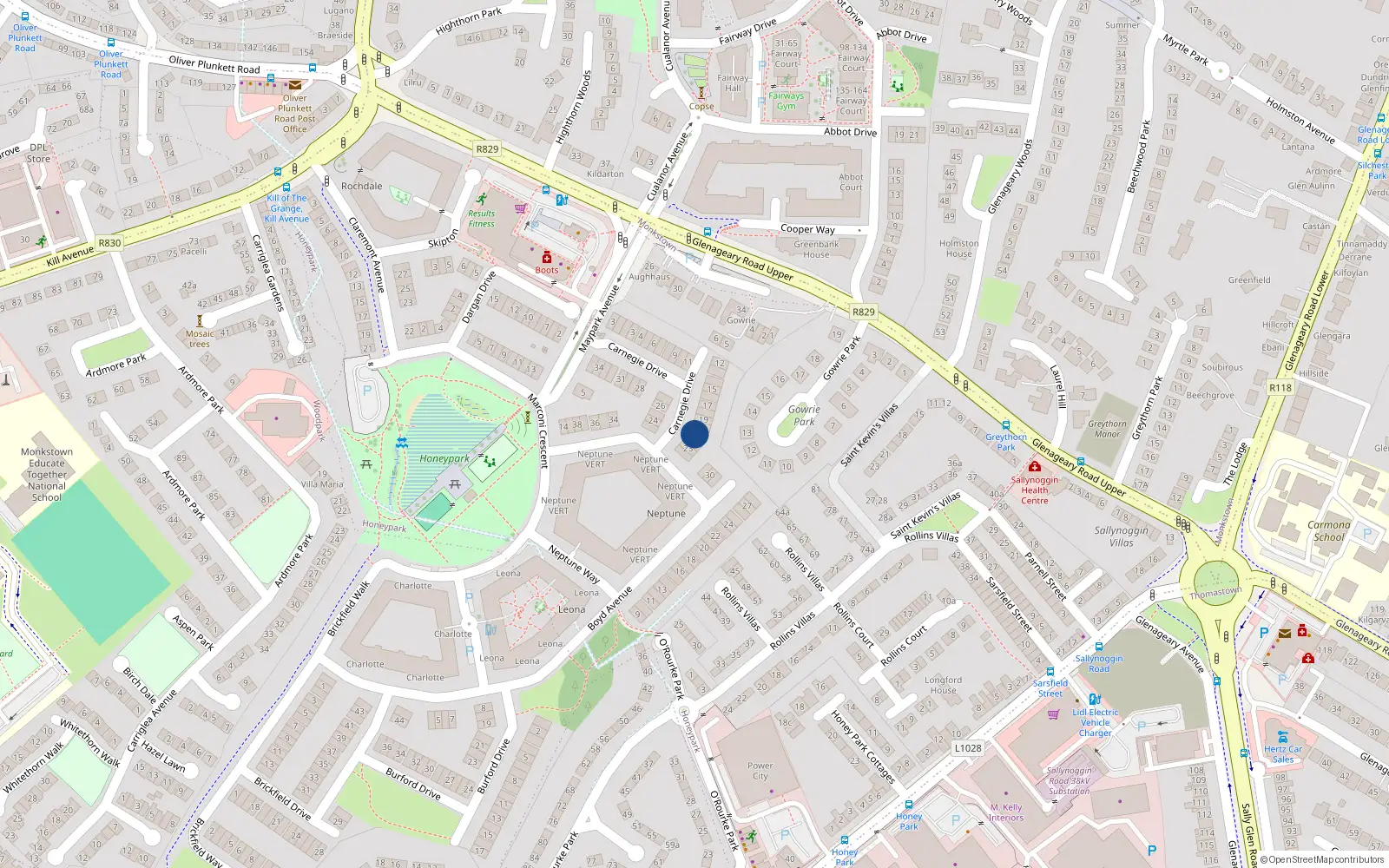 Overhead map showing the location of 21 Carnagie Drive Honeypark, Dunlaoghaire