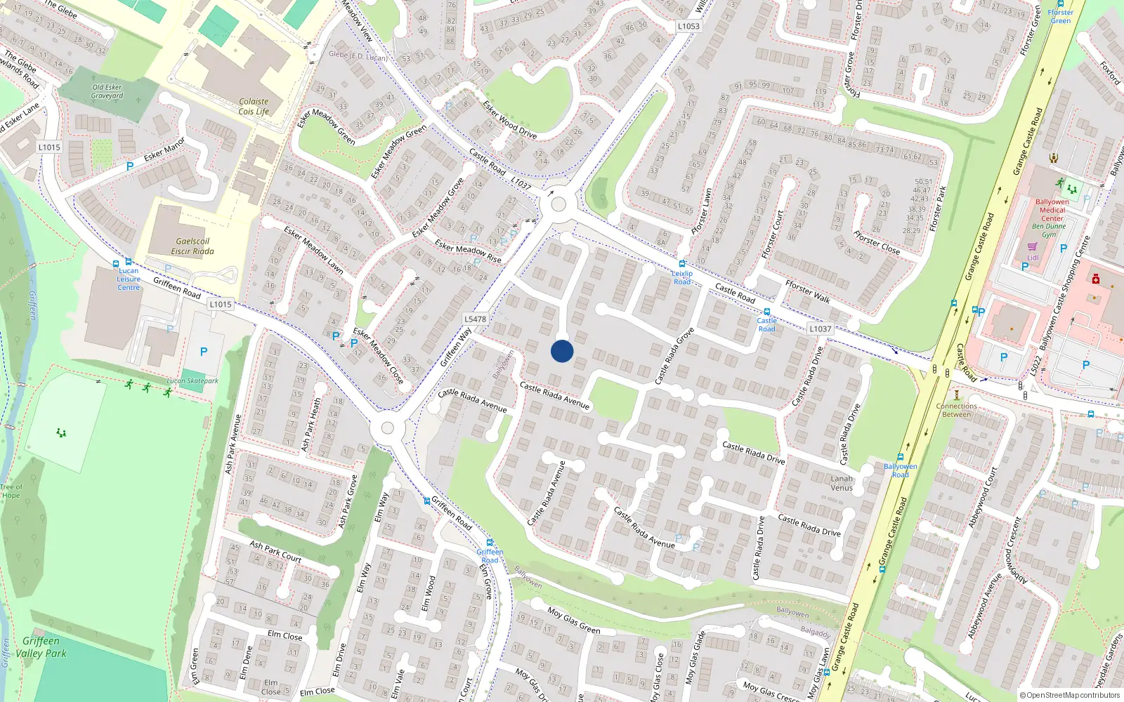 Overhead map showing the location of 21 Castle Riada Crescent, Lucan