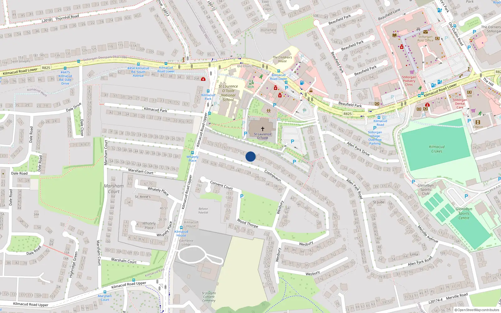 Overhead map showing the location of 21 Coolnevaun, Blackrock