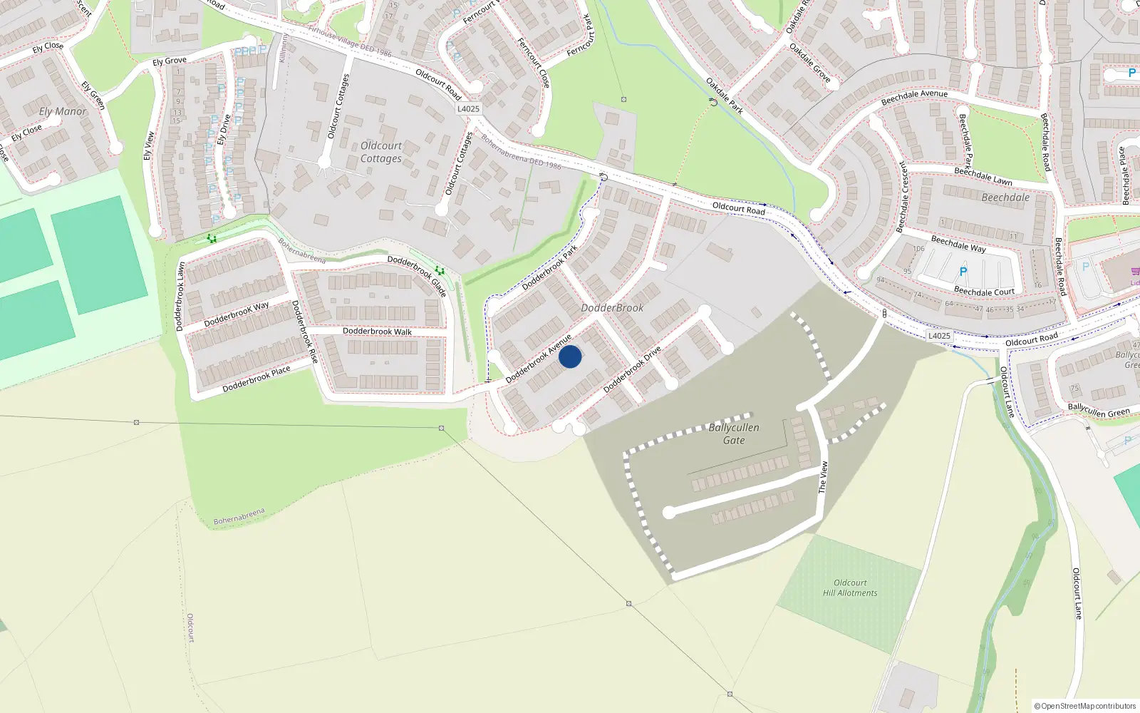 Overhead map showing the location of 21 Dodderbrook Avenue, Oldcourt