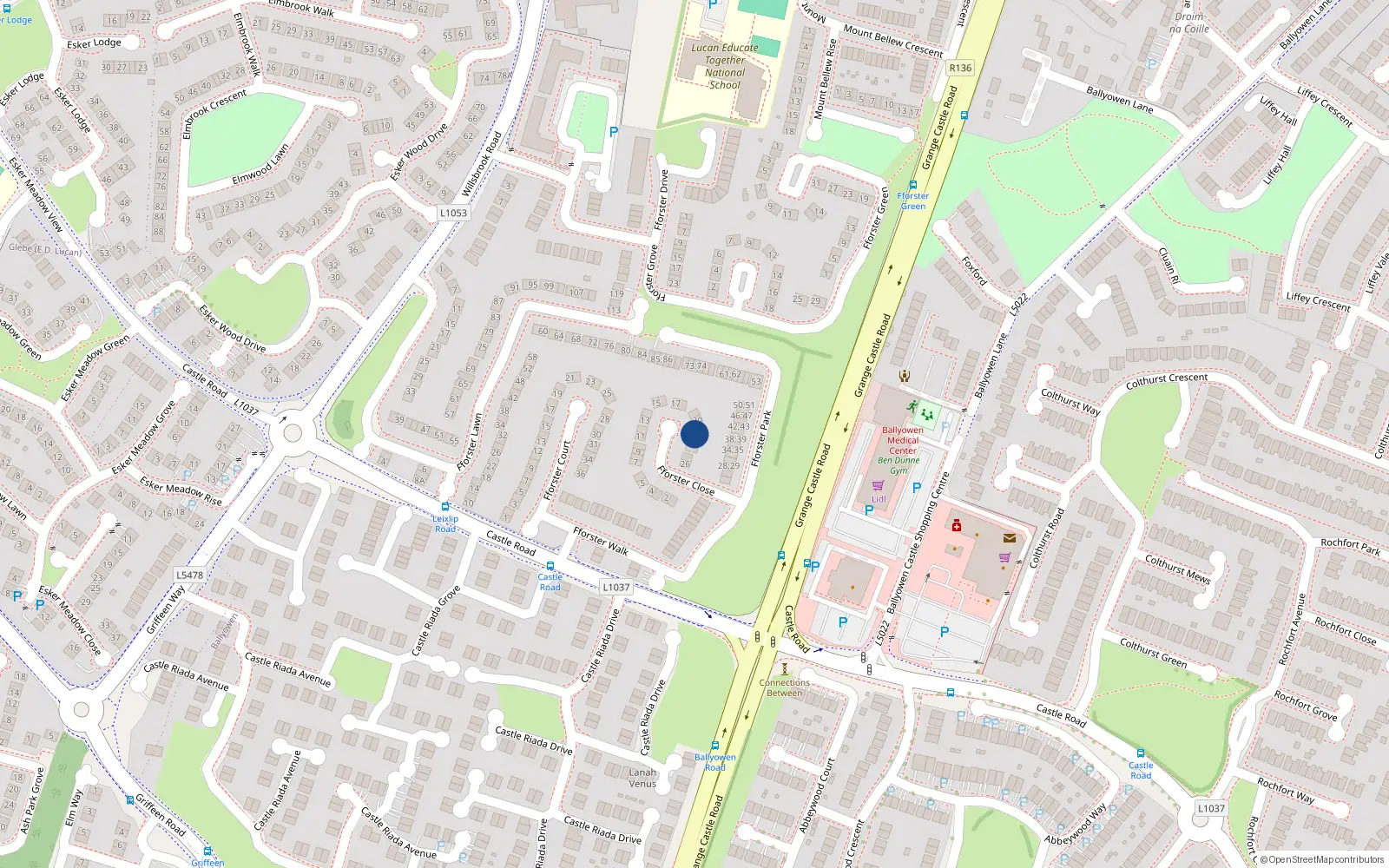 Overhead map showing the location of 21 Fforster Close, Lucan
