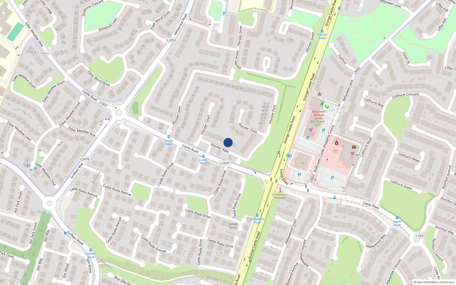 Overhead map showing the location of 21 Fforster Walk, Lucan