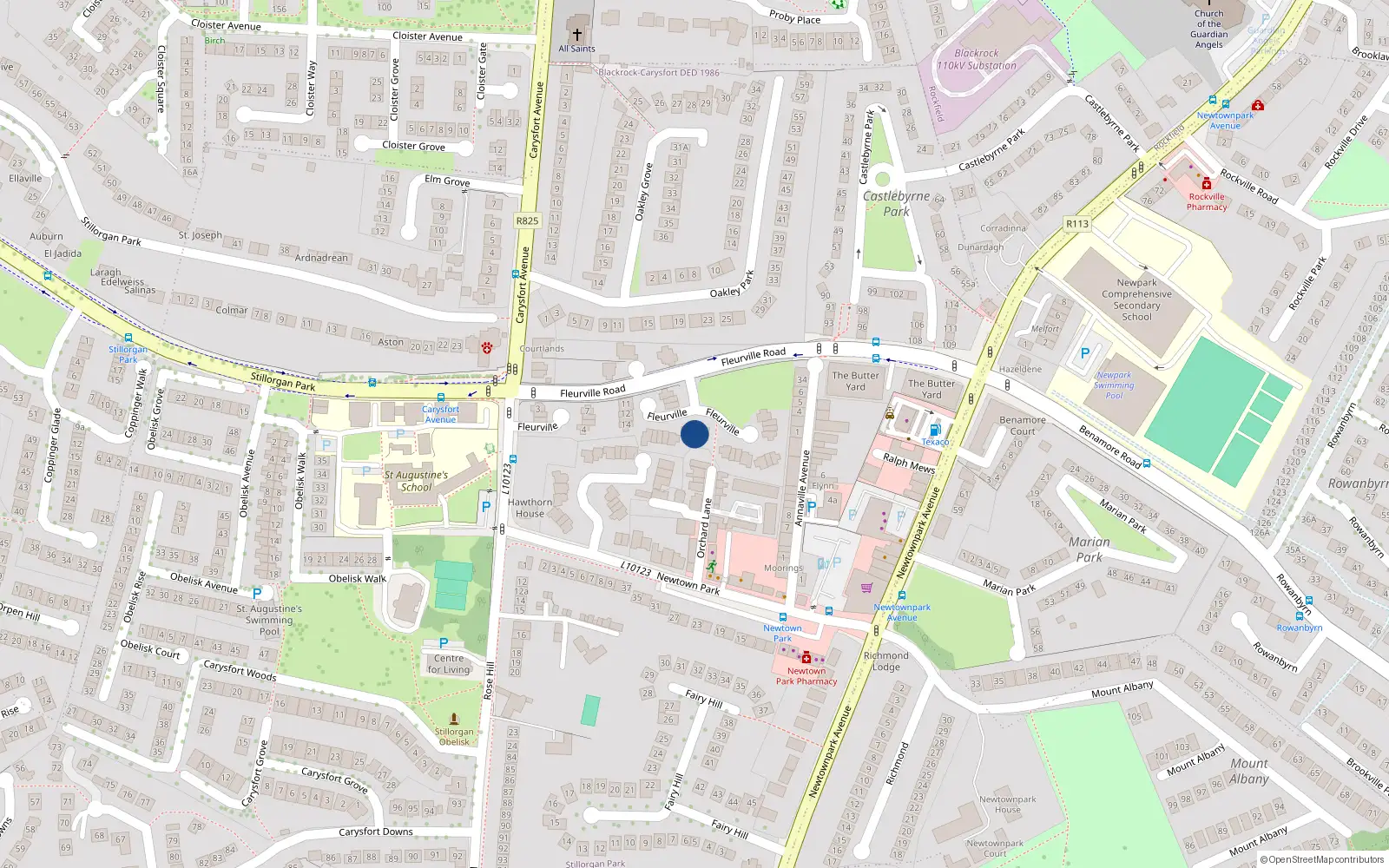 Overhead map showing the location of 21 Fleurville, Blackrock