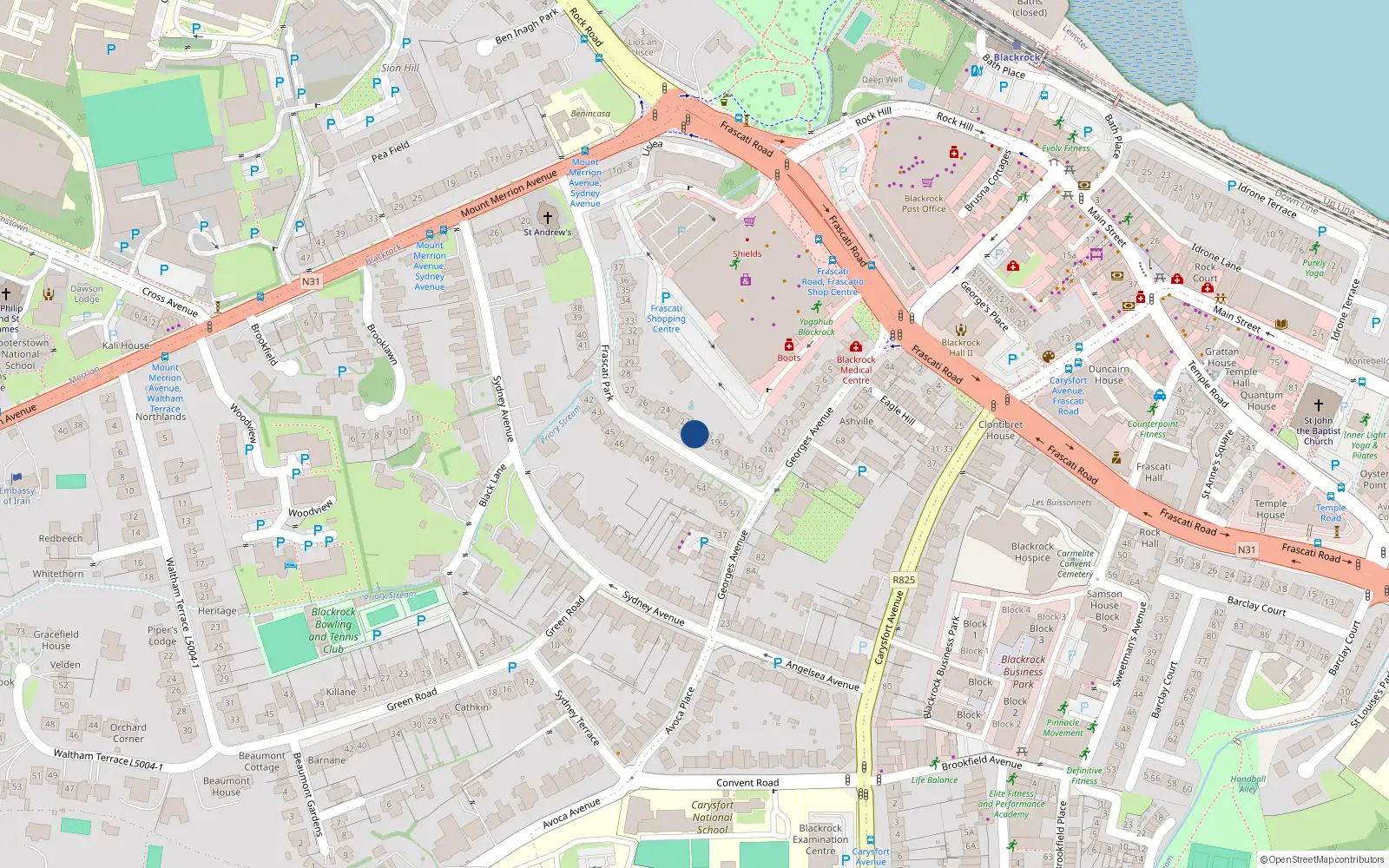 Overhead map showing the location of 21 Frascati Park, Blackrock