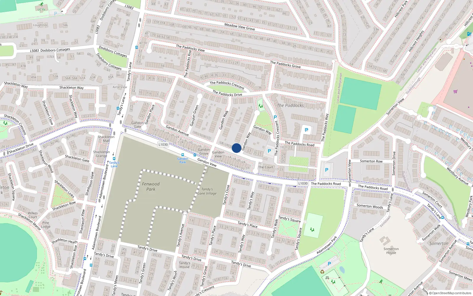 Overhead map showing the location of 21 Gandon Avenue, Lucan