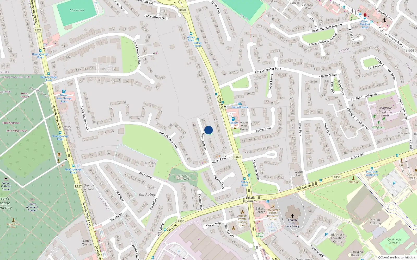 Overhead map showing the location of 21 Grangeabbey, Blackrock