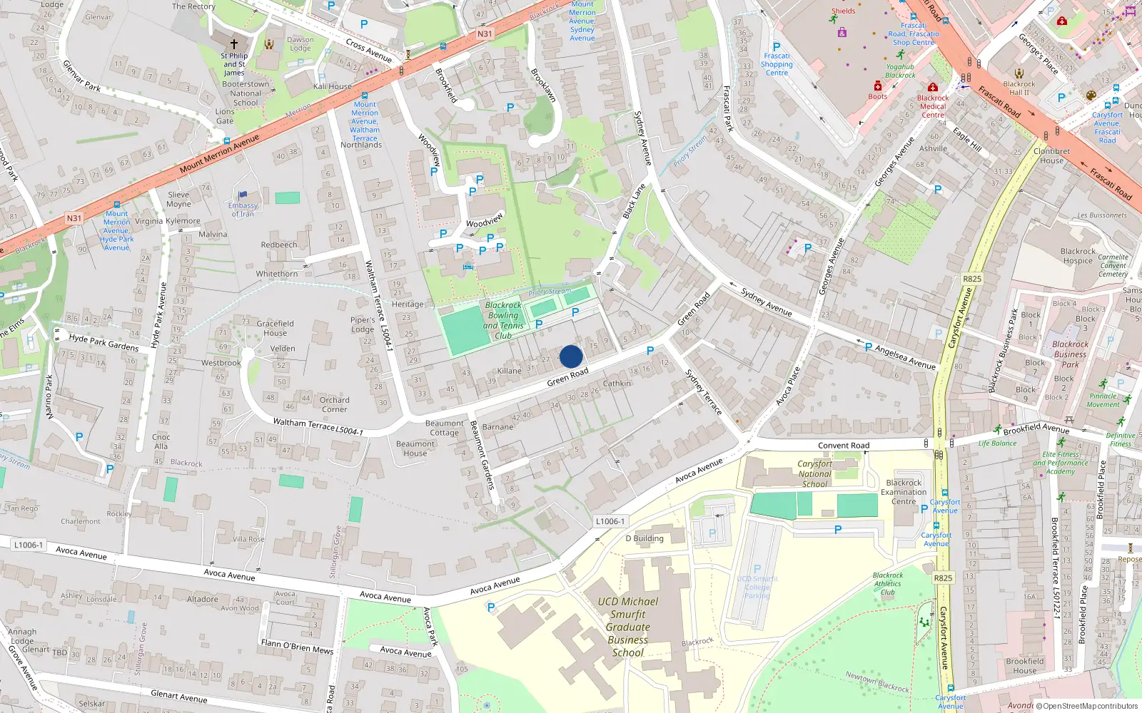 Overhead map showing the location of 21 Green Road, Blackrock