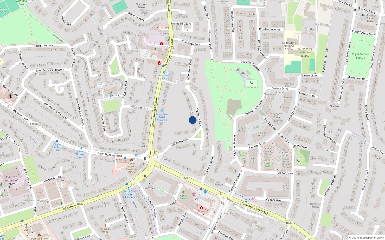 Overhead map showing the location of 21 Highthorn Park, Monkstown