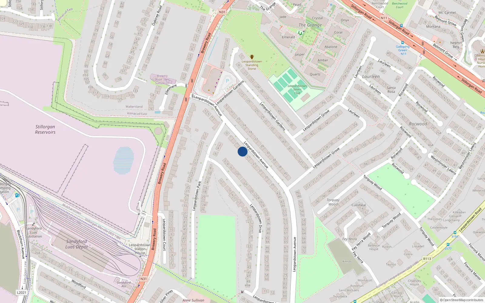 Overhead map showing the location of 21 Leopardstown Avenue, Co Dublin
