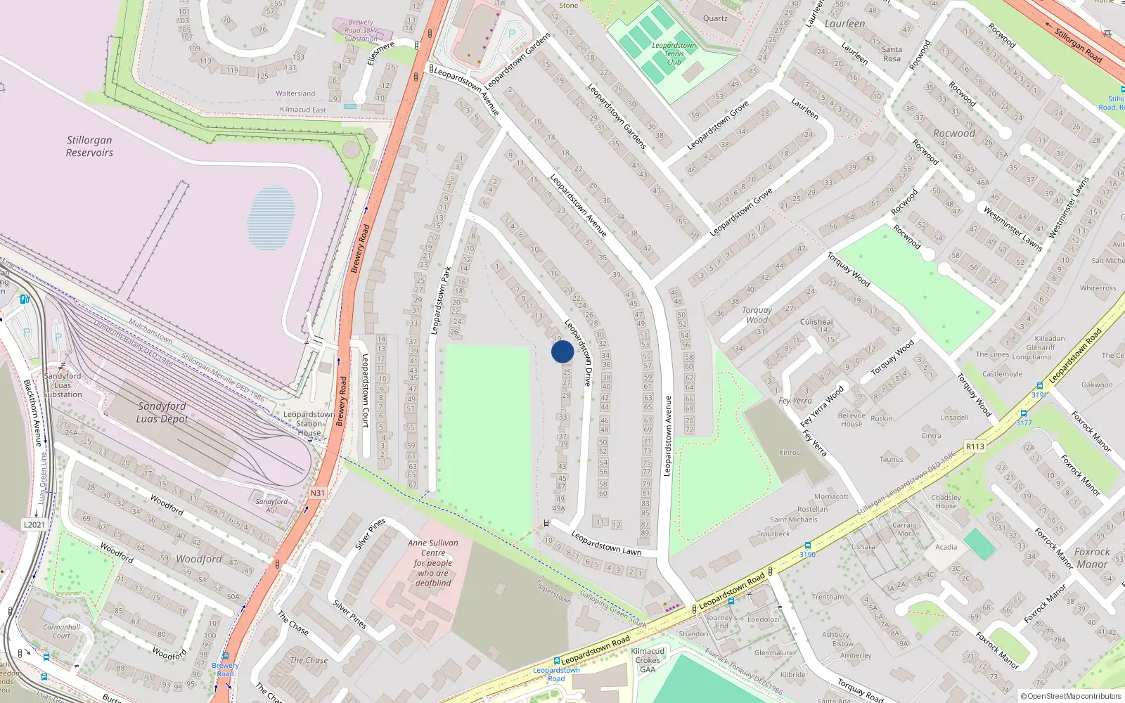 Overhead map showing the location of 21 Leopardstown Drive, Blackrock, Co Dublin