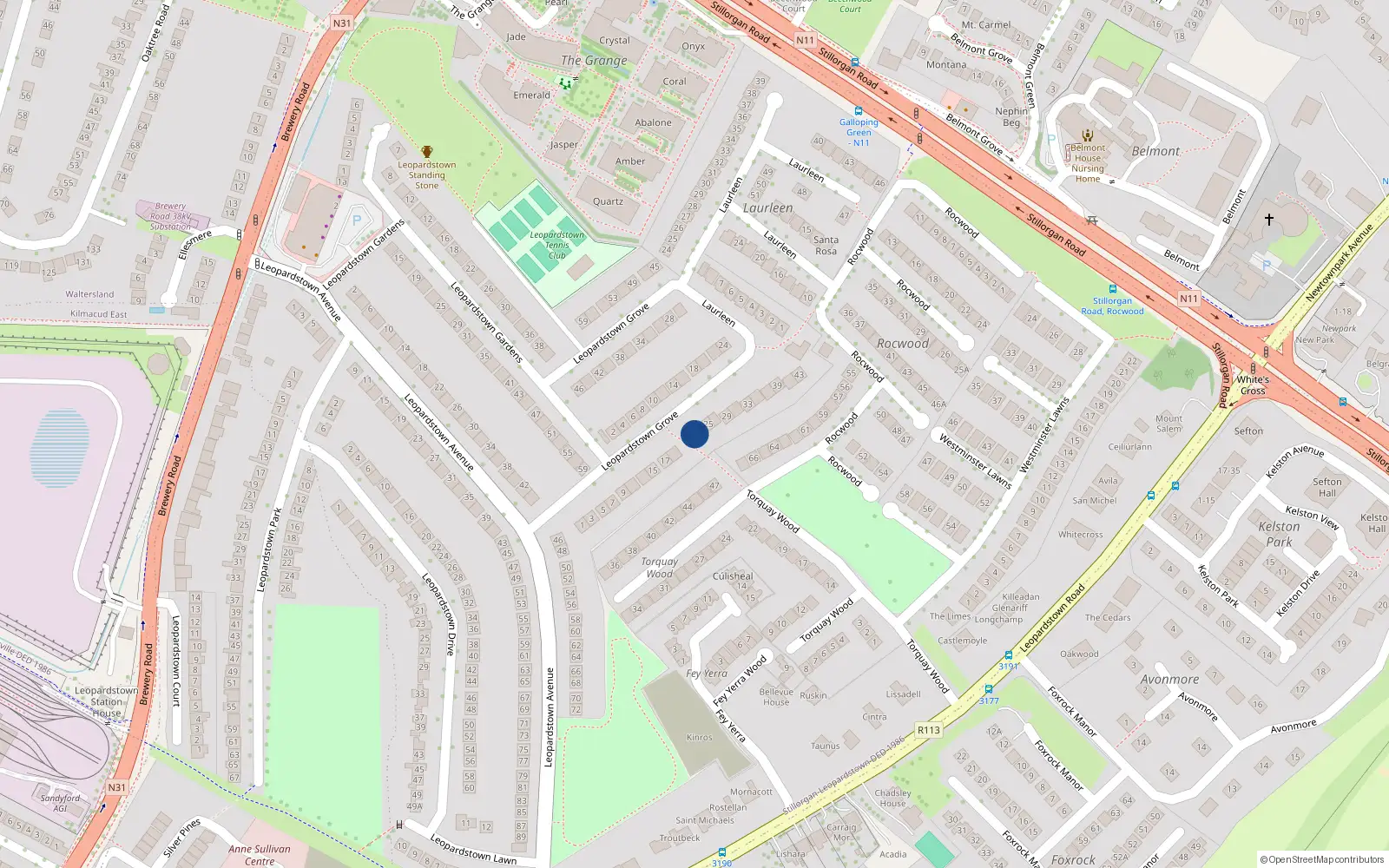 Overhead map showing the location of 21 Leopardstown Grove, Dublin