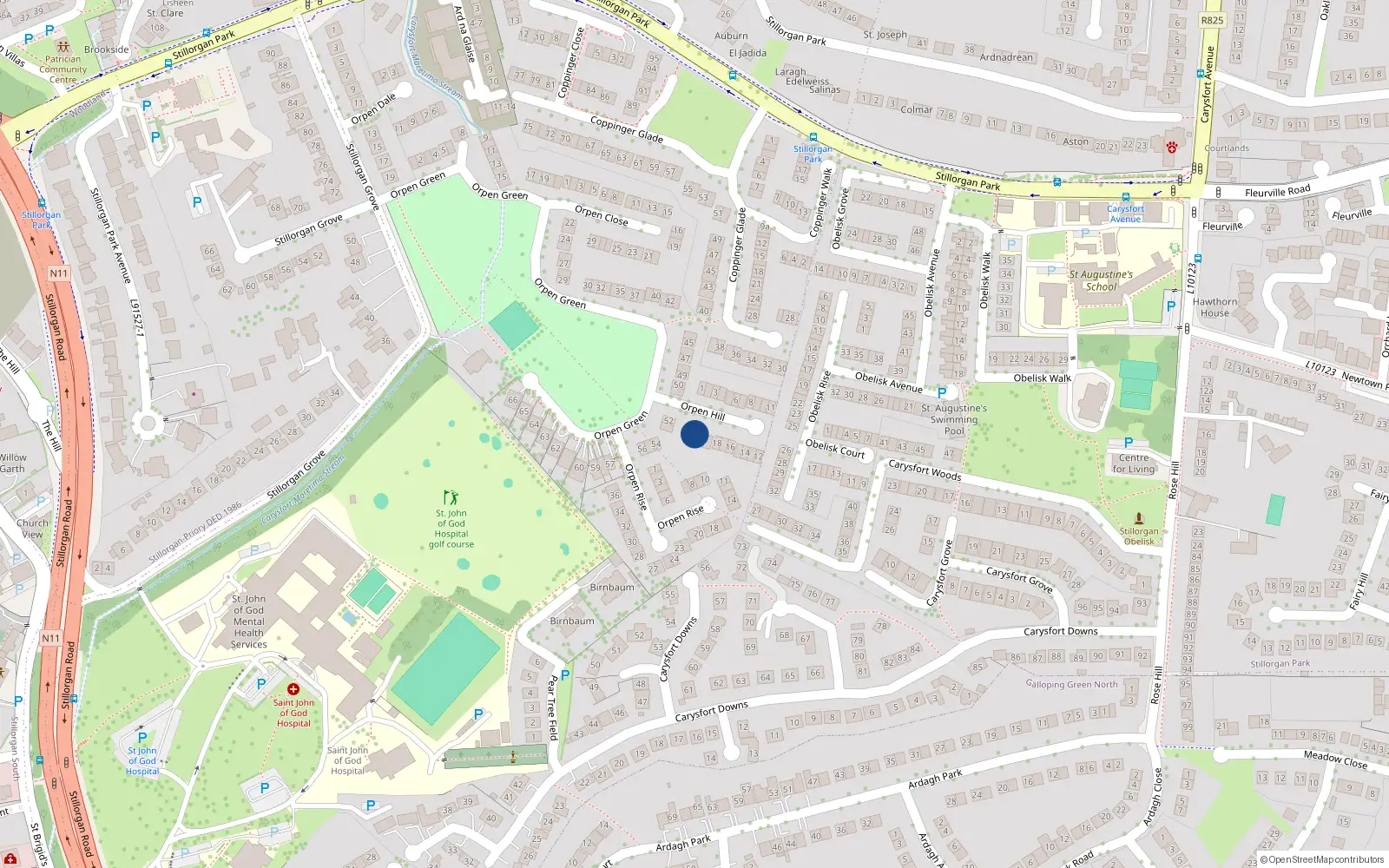 Overhead map showing the location of 21 Orphen Hill, Blackrock, Dublin