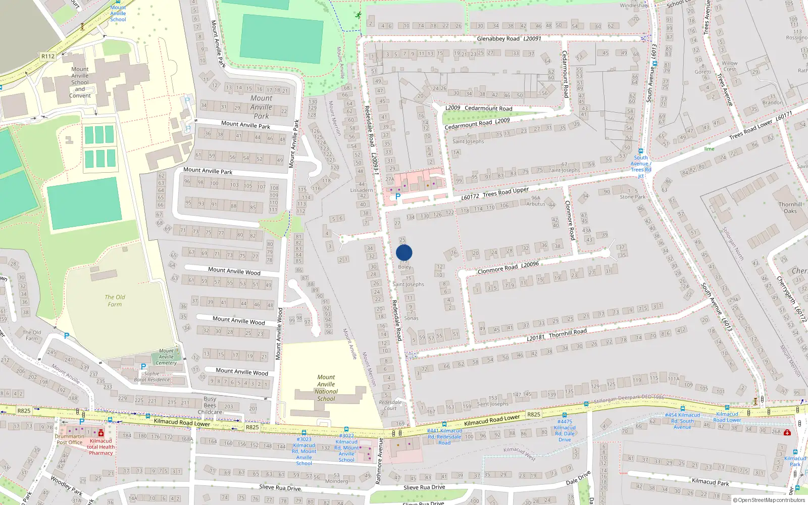 Overhead map showing the location of 21 Redesdale Road, Blackrock