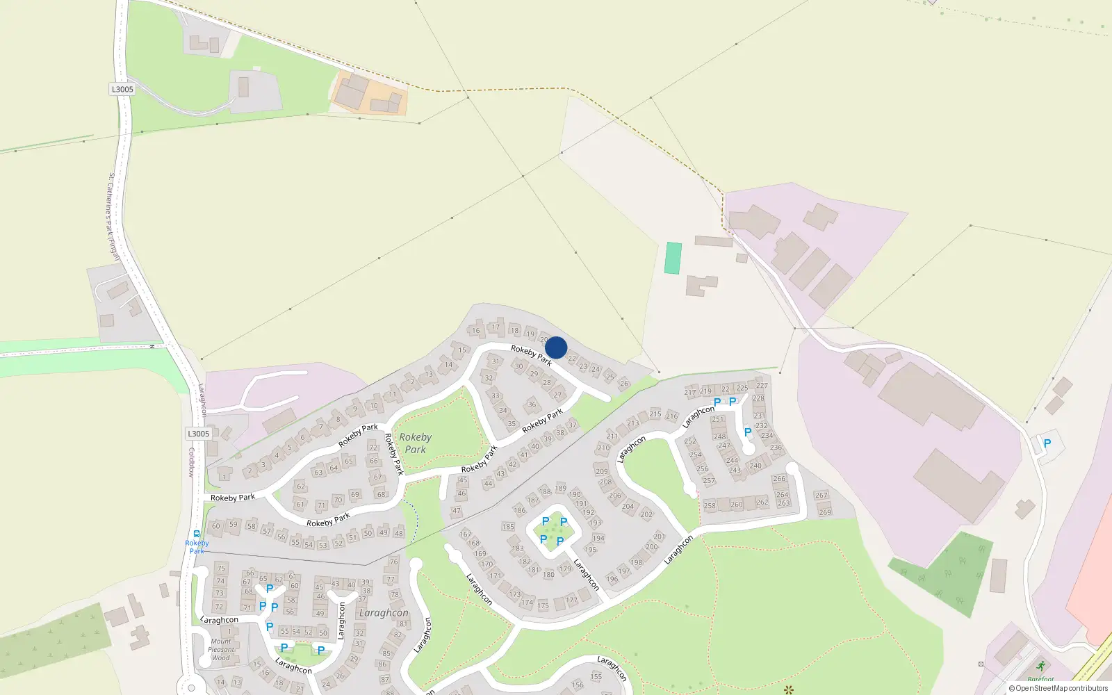 Overhead map showing the location of 21 Rokeby Park, Lucan