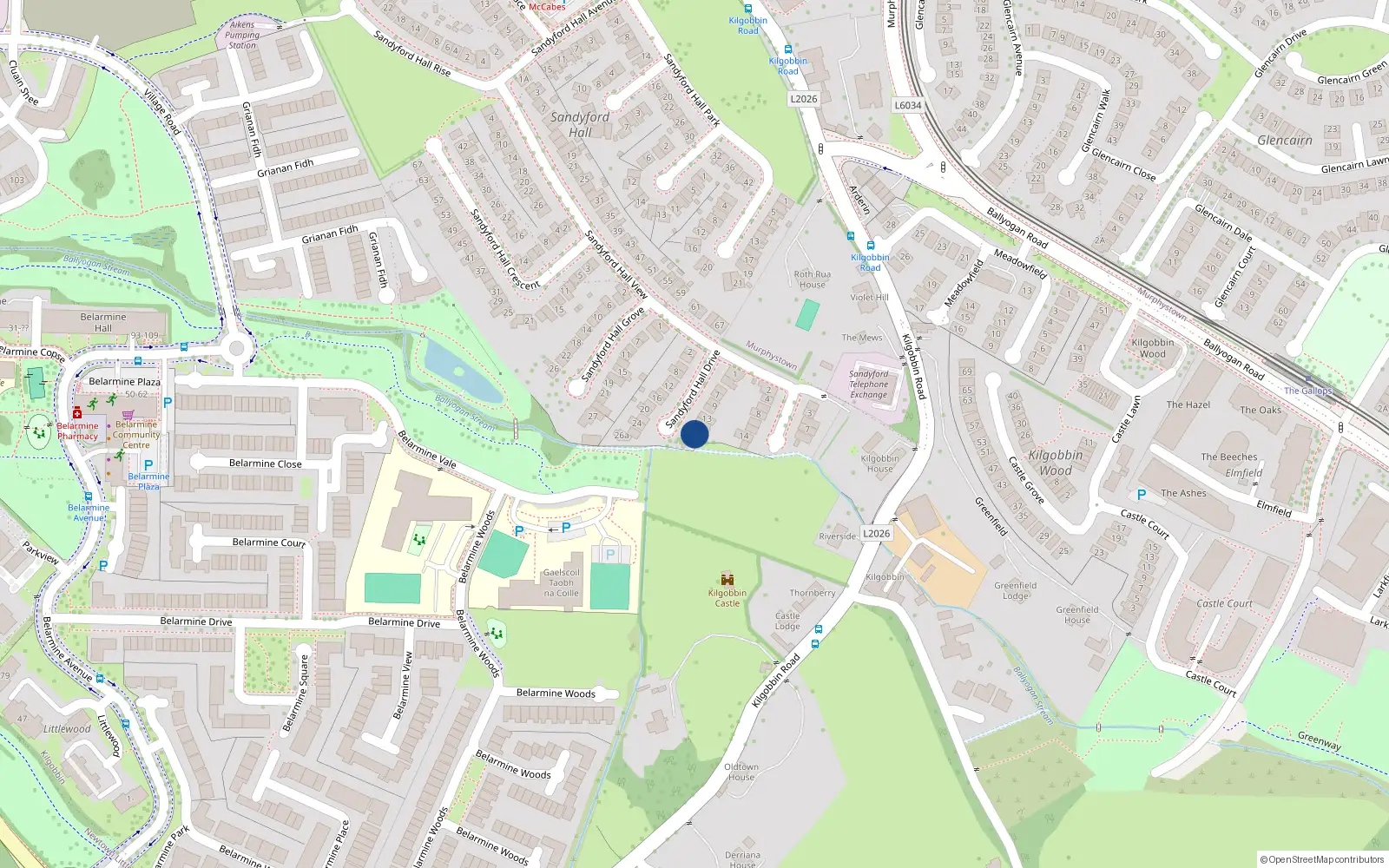 Overhead map showing the location of 21 Sandyford Hall Drive, Sandyford