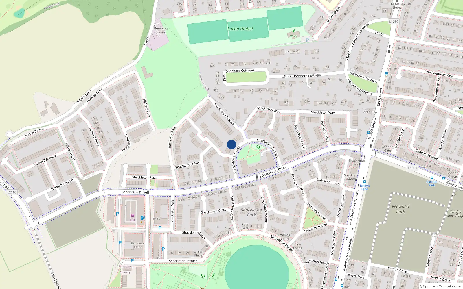 Overhead map showing the location of 21 Shackleton Crescent, Lucan