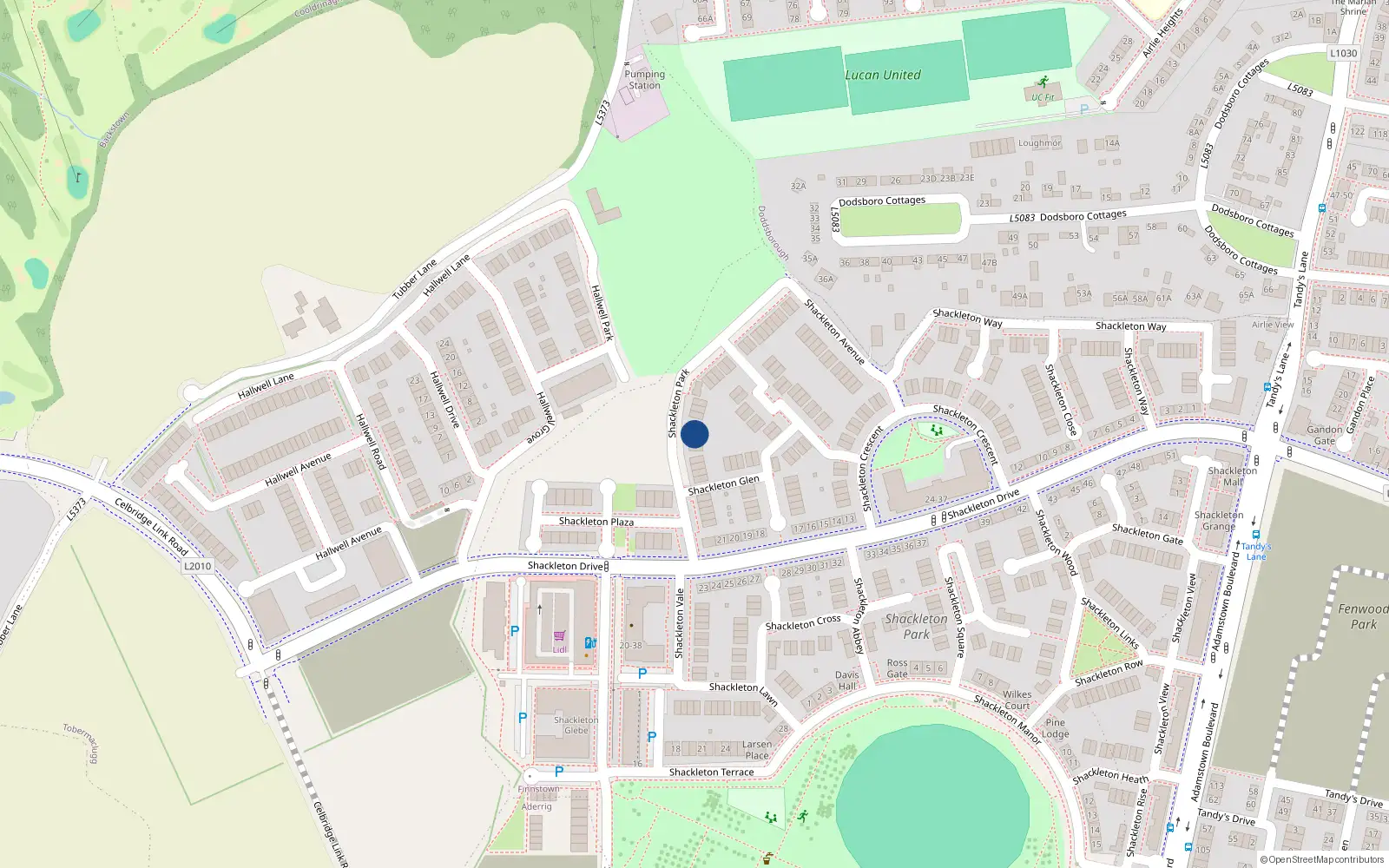 Overhead map showing the location of 21 Shackleton Park, Lucan