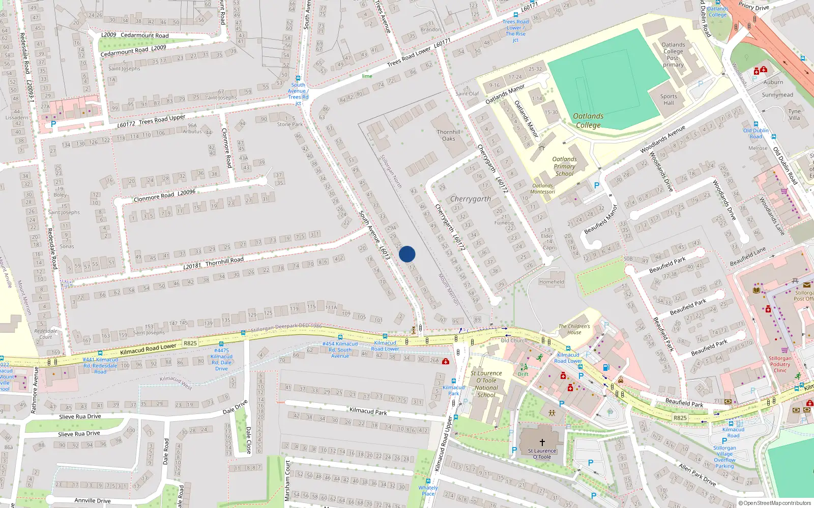 Overhead map showing the location of 21 South Avenue, Blackrock