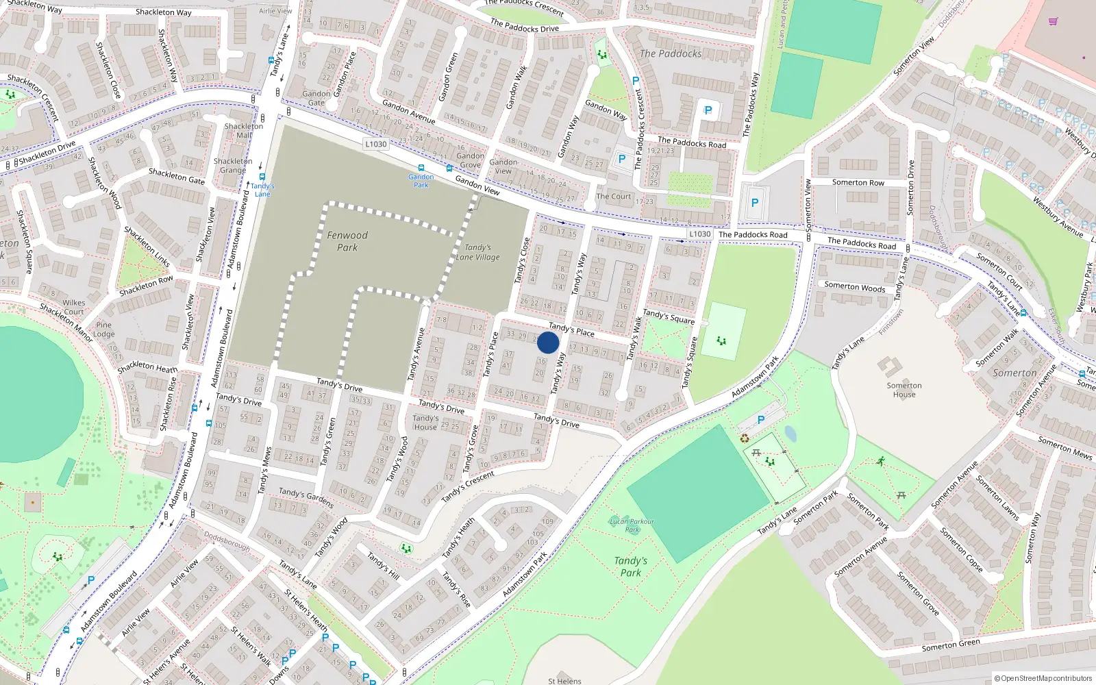 Overhead map showing the location of 21 Tandy's Place, Lucan