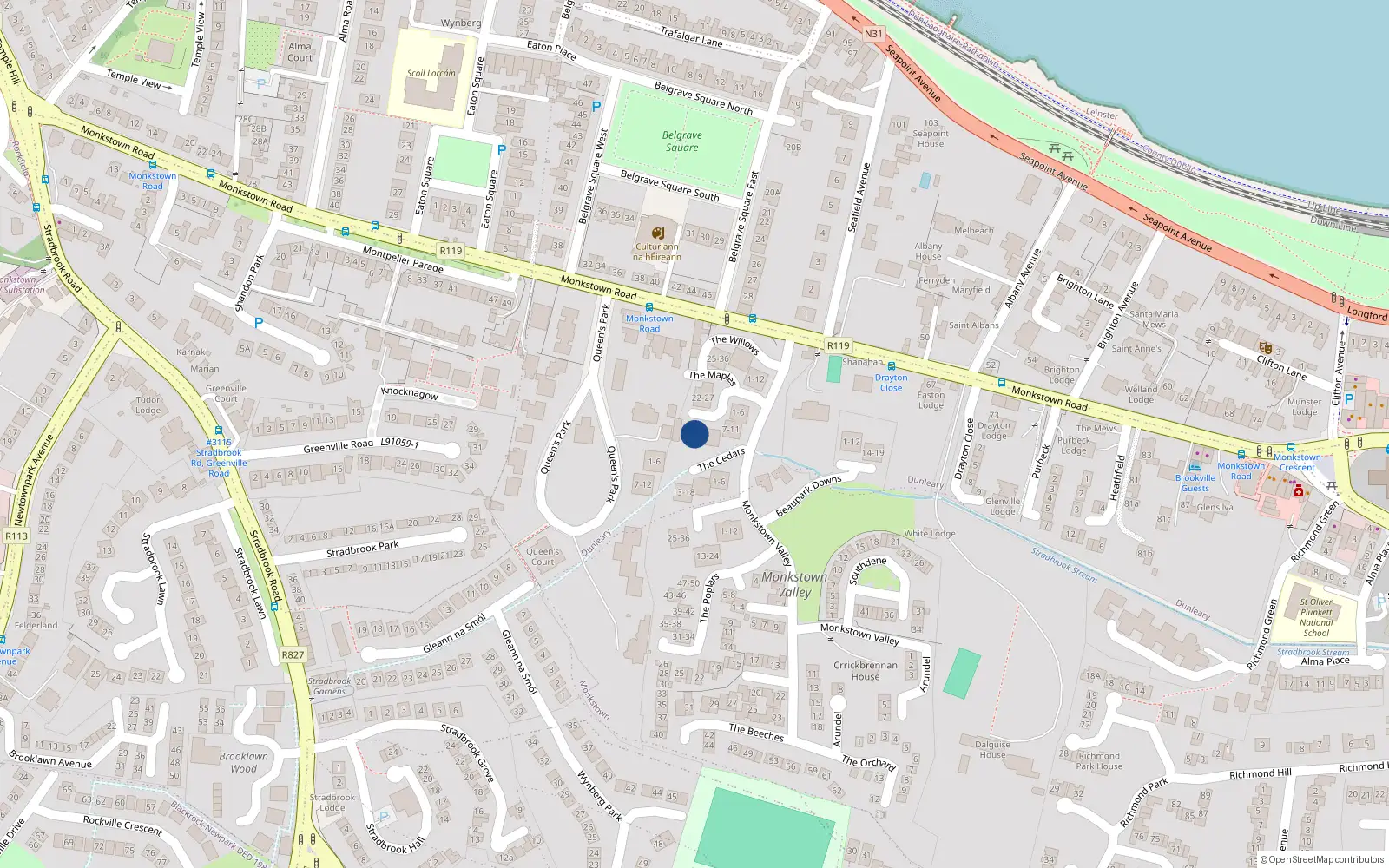 Overhead map showing the location of 21 the Maples, Monkstown Valley, Monkstown