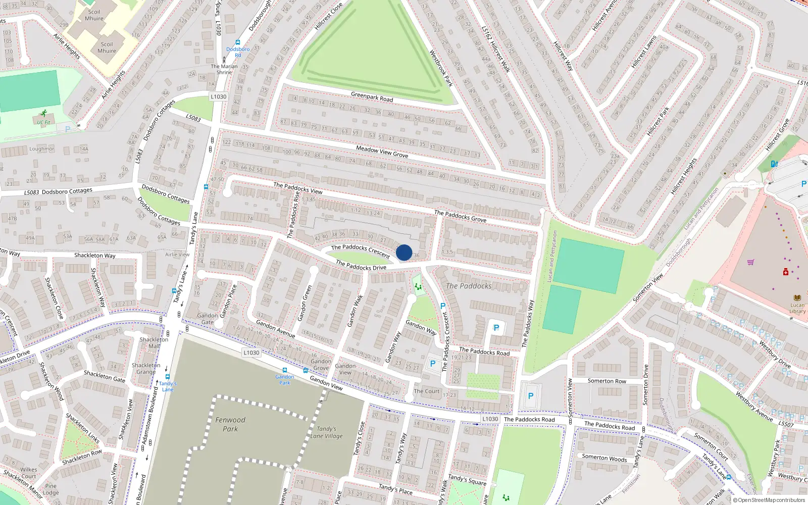 Overhead map showing the location of 21 The Paddocks Crescent, Lucan
