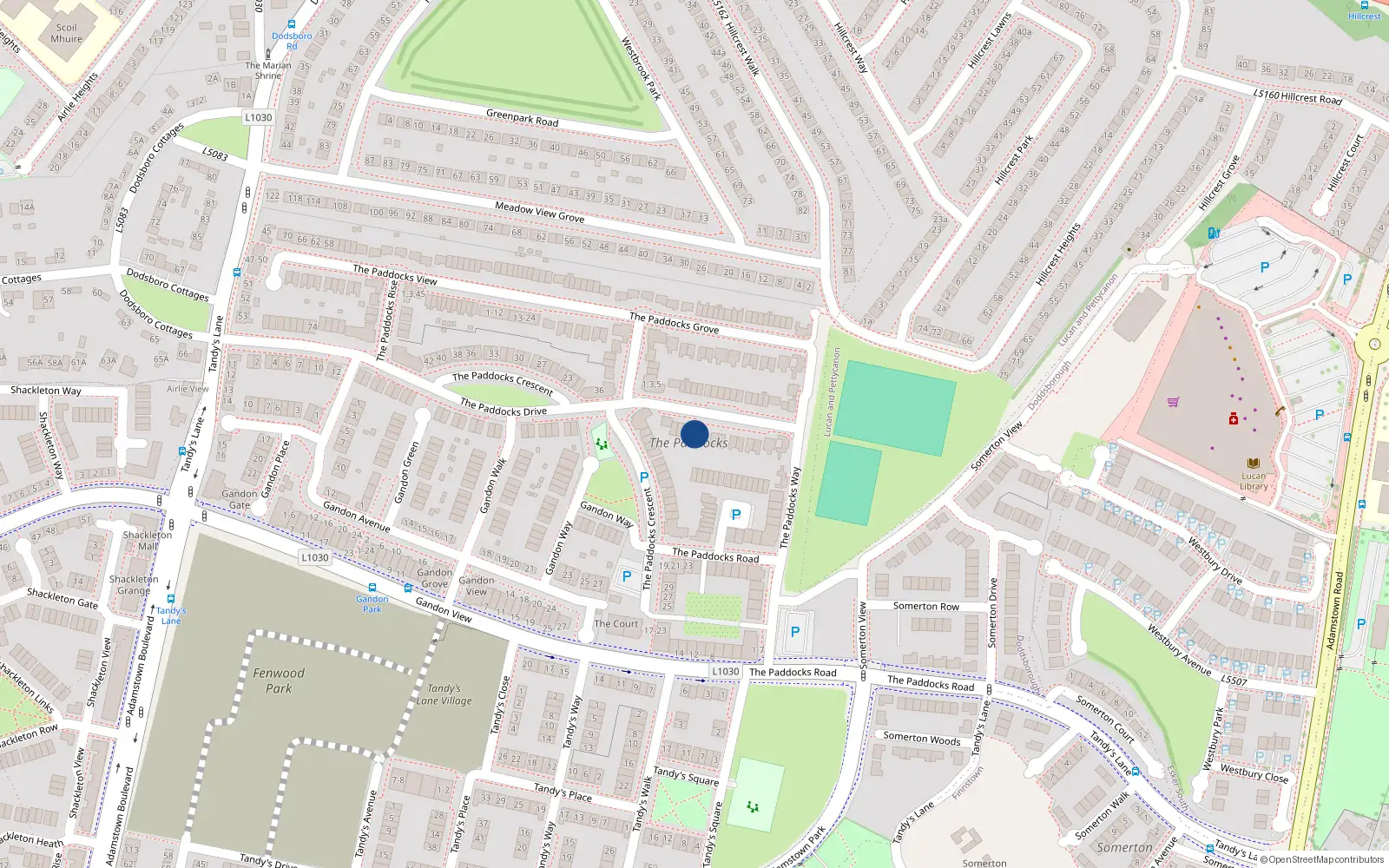 Overhead map showing the location of 21 The Paddocks Drive, Lucan