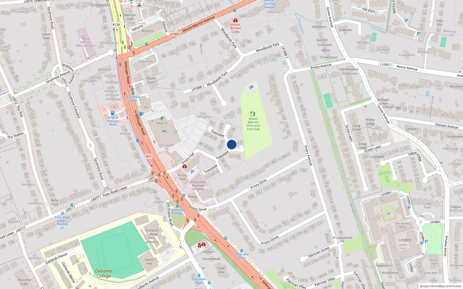 Overhead map showing the location of 21 Treesdale, Blackrock