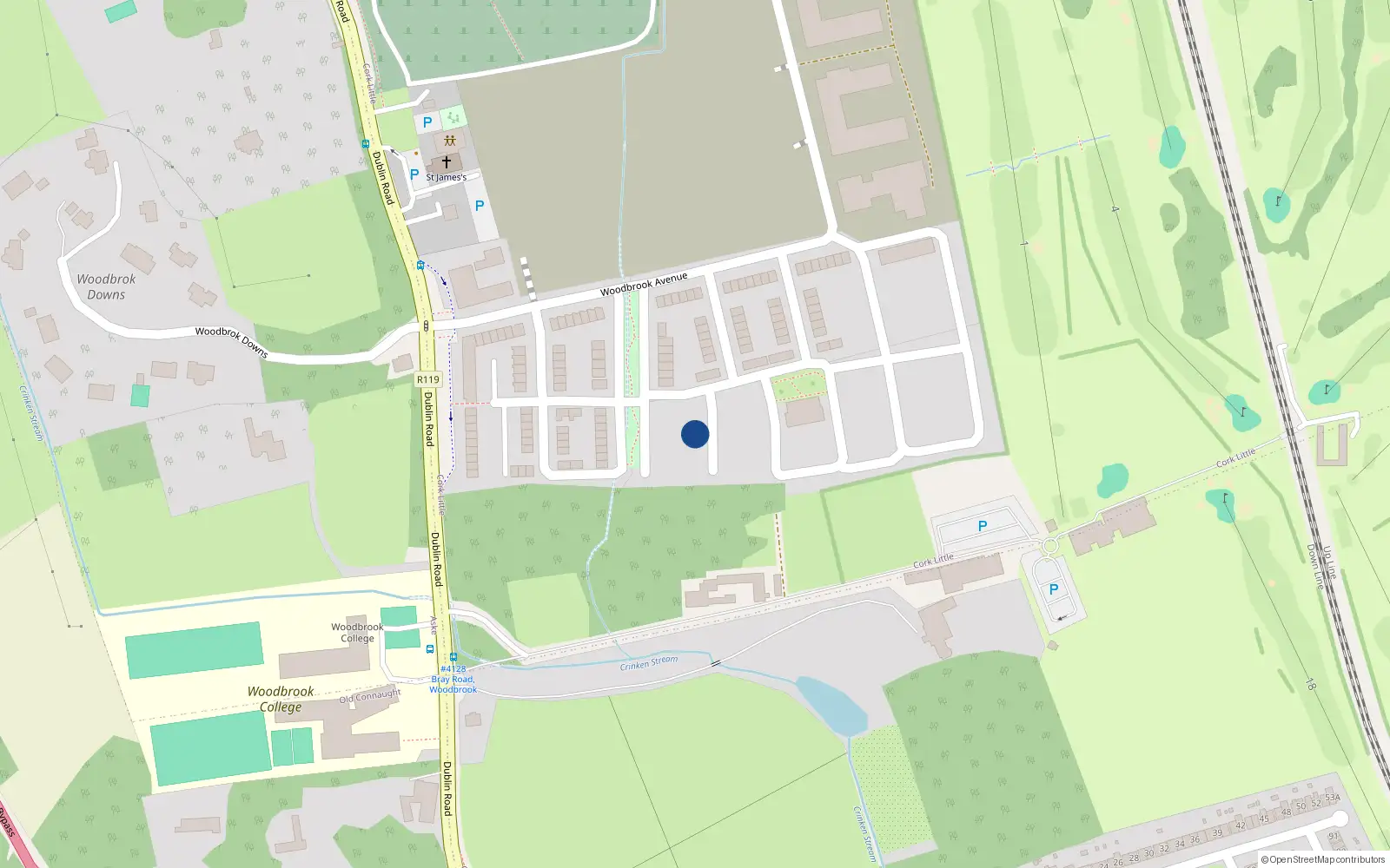 Overhead map showing the location of 21 Woodbrook Copse, Bray