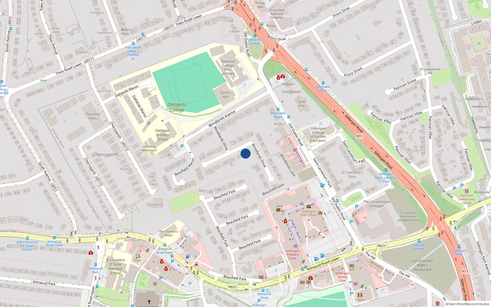 Overhead map showing the location of 21 Woodlands Drive, Dublin