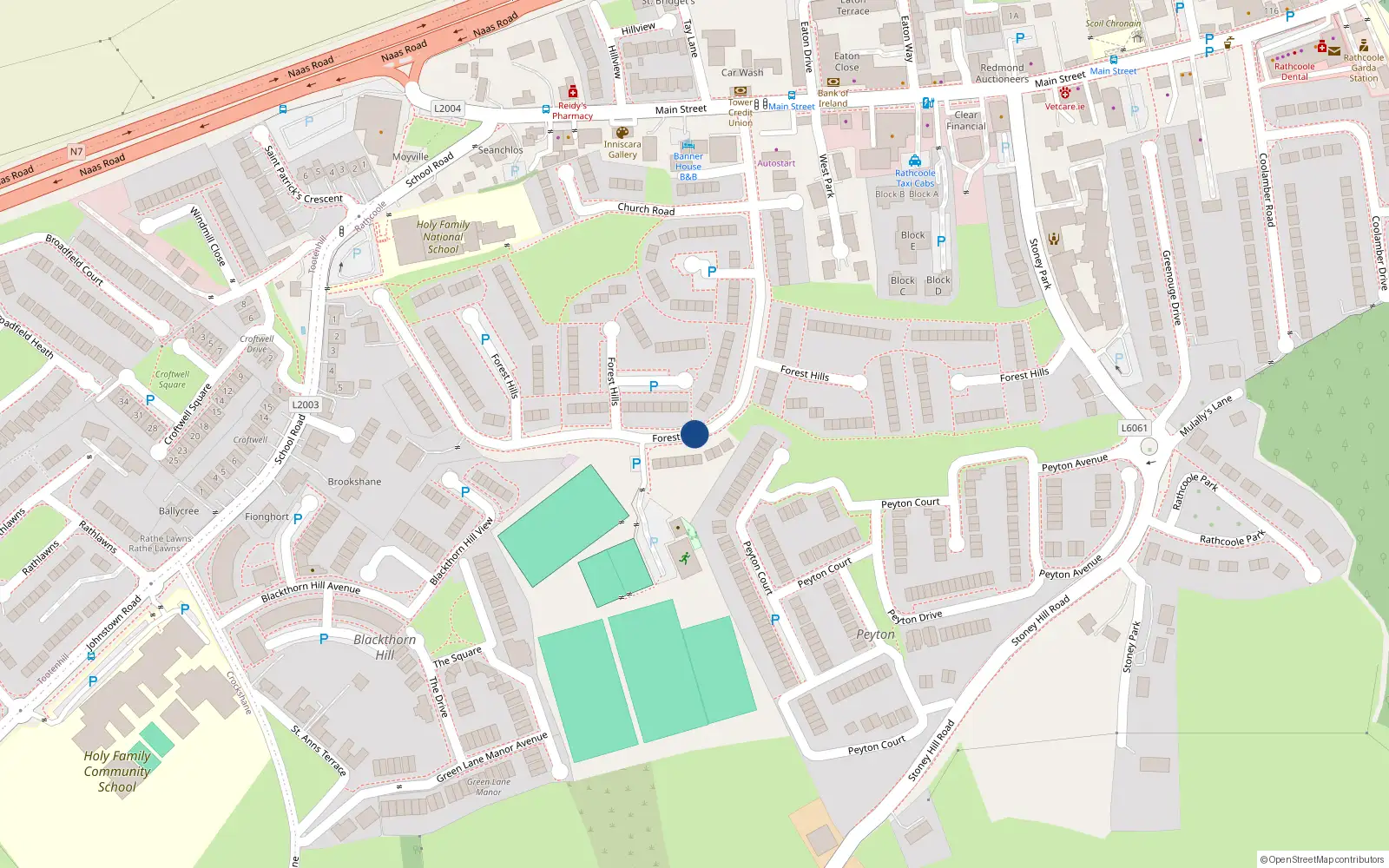 Overhead map showing the location of 210foresthills, Rathcoole, Dublin