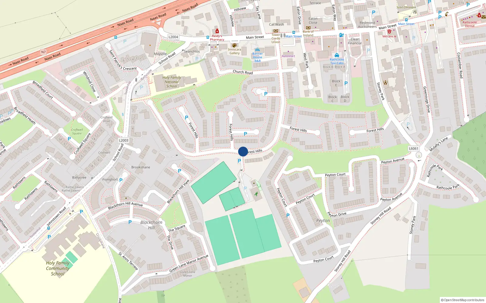 Overhead map showing the location of 213 Forest Hills, Rathcoole