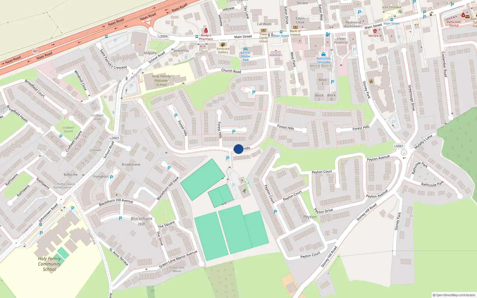 Overhead map showing the location of 214 Forest Hills, Rathcoole