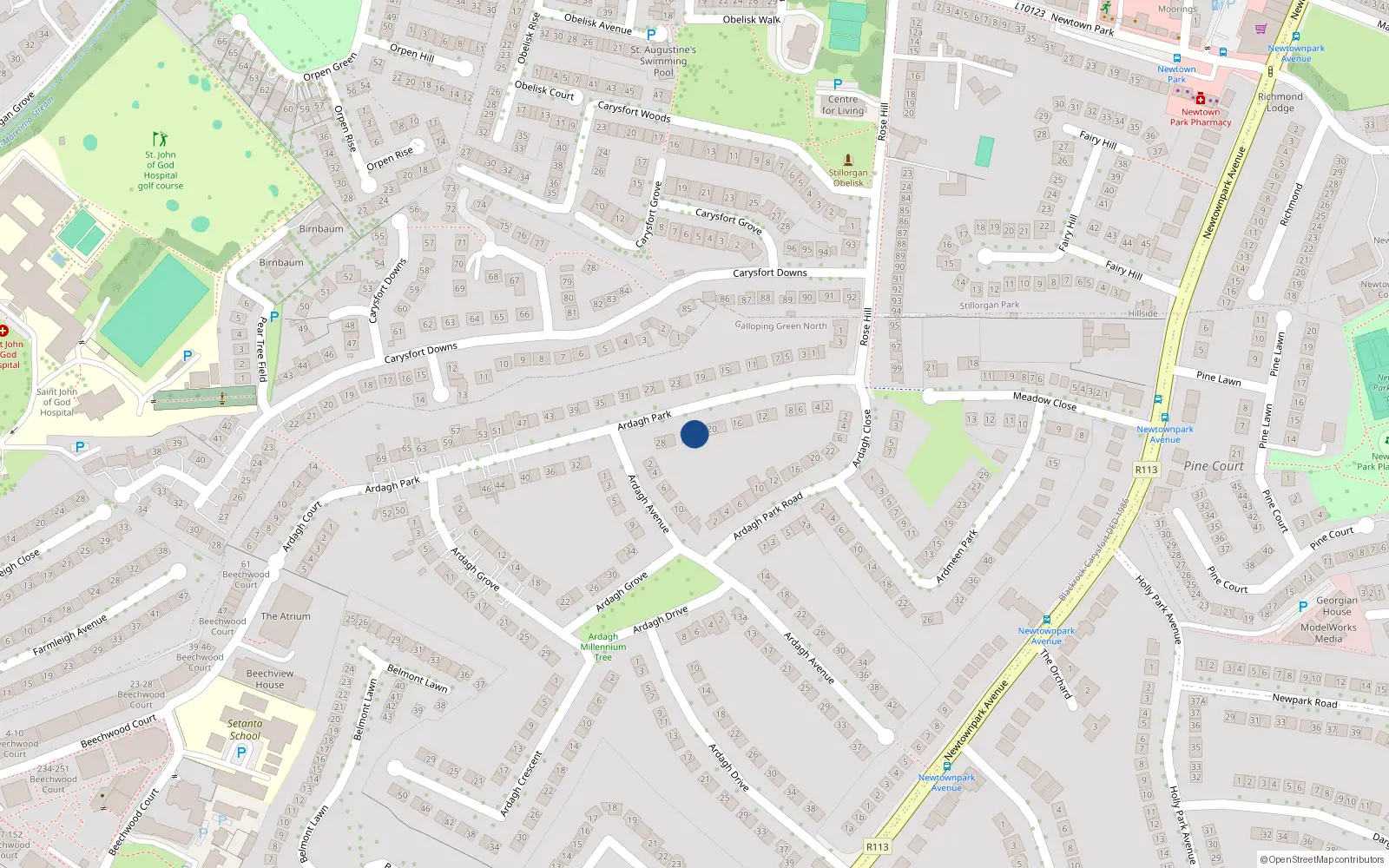 Overhead map showing the location of 22 Ardagh Park, Blackrock