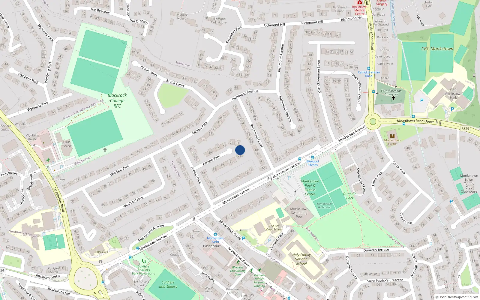 Overhead map showing the location of 22 Ashton Park, Monkstown