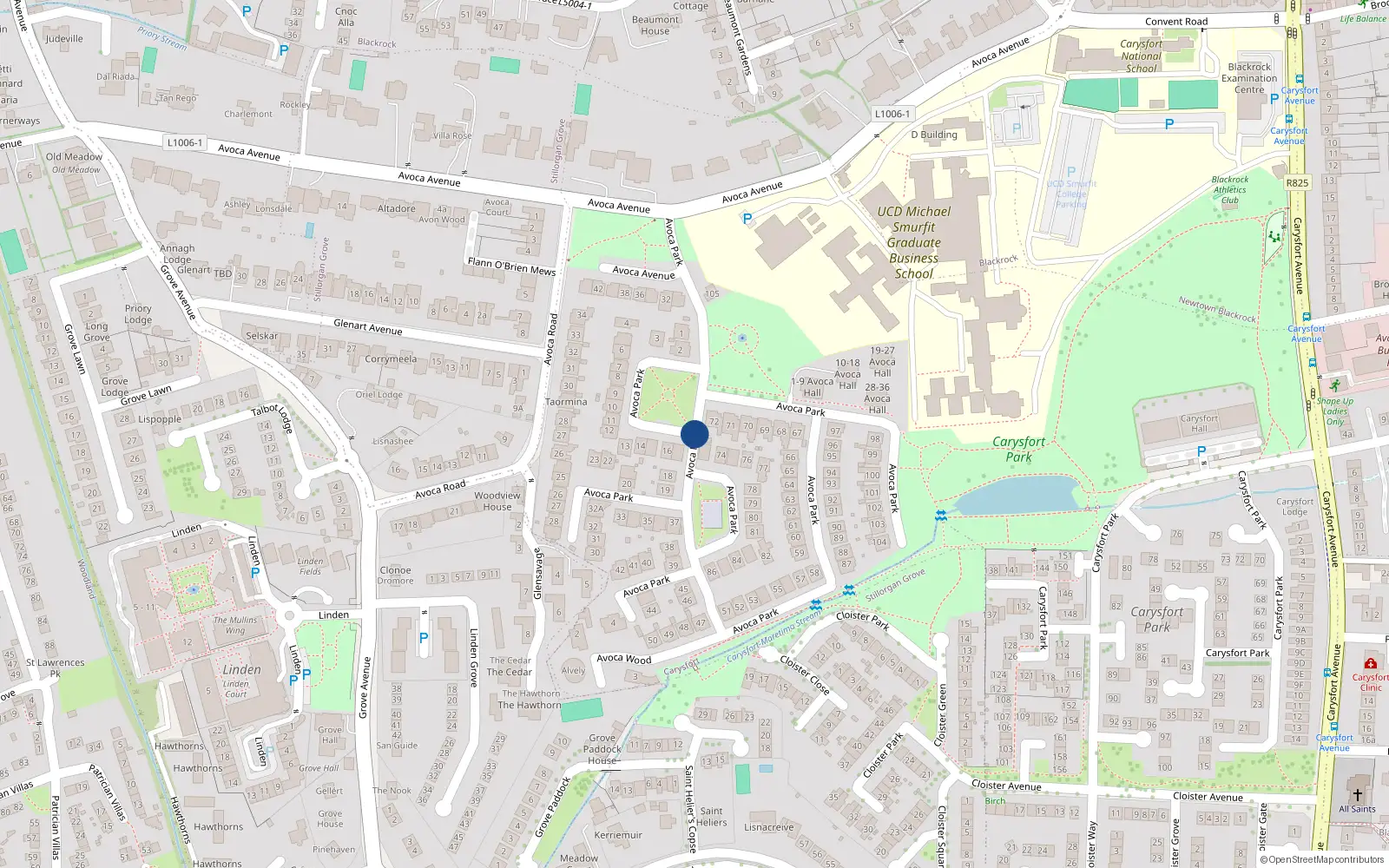 Overhead map showing the location of 22 Avoca Park, Blackrock