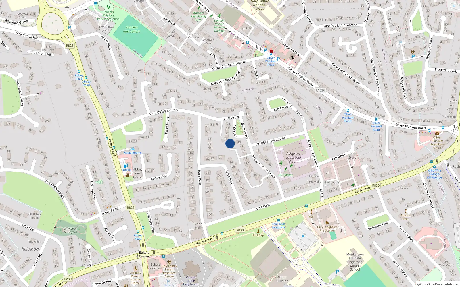 Overhead map showing the location of 22 Birch Grove, Kill Avenue, Dun Laoghaire