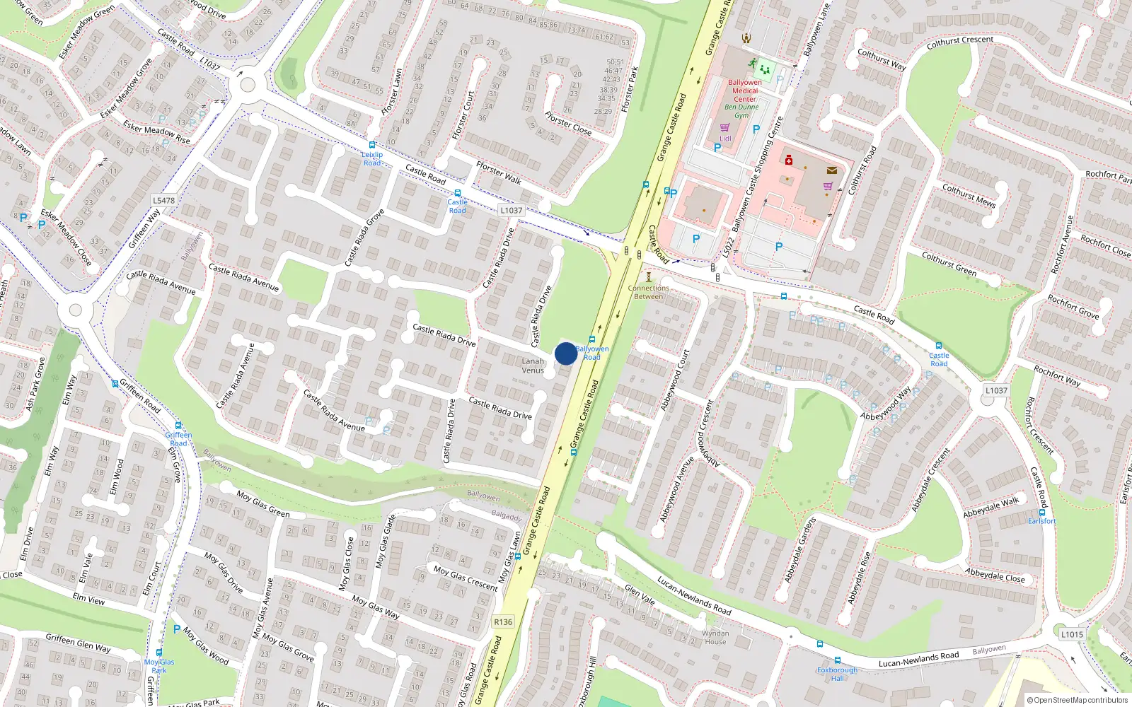 Overhead map showing the location of 22 Castle Riada Drive, Lucan