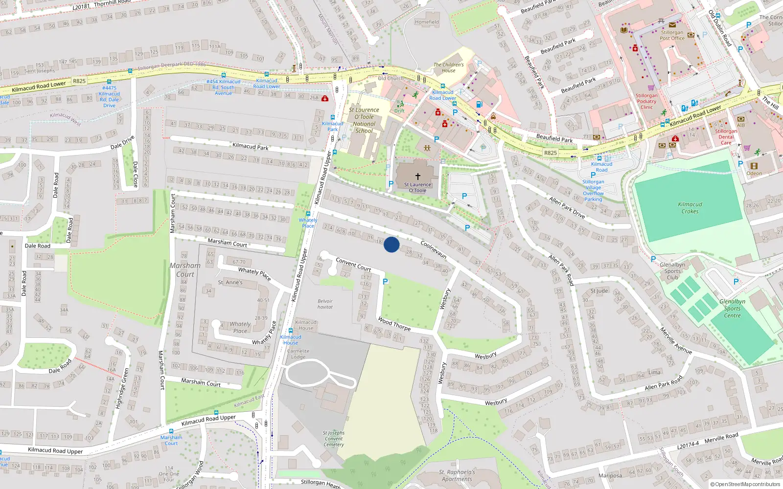 Overhead map showing the location of 22 Coolnevaun, Blackrock