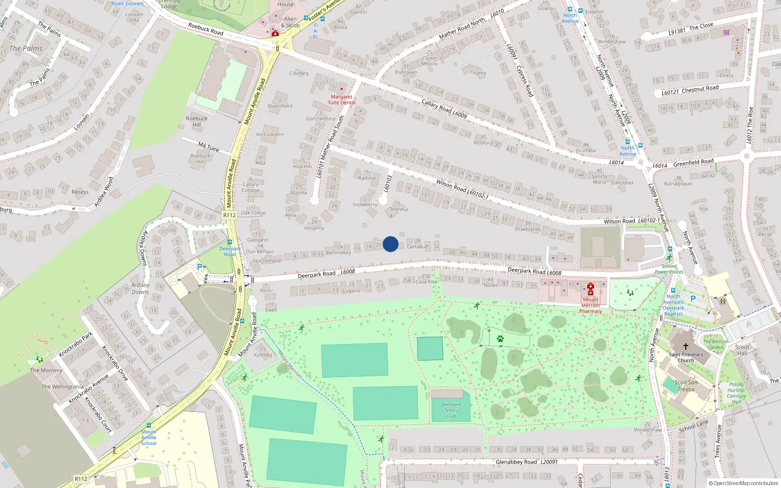 Overhead map showing the location of 22 Deerpark Road, Blackrock