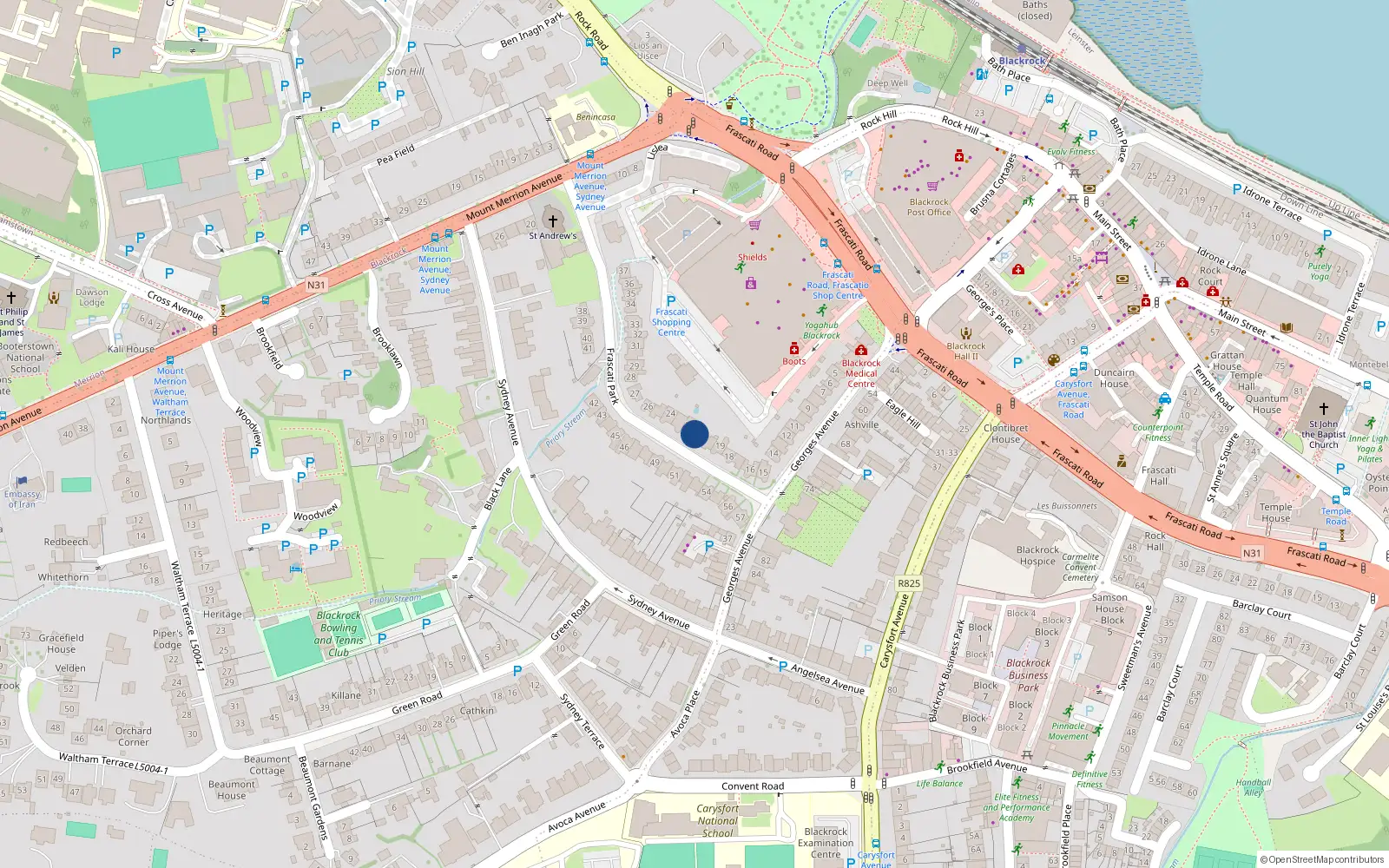 Overhead map showing the location of 22 Frascati Park, Blackrock