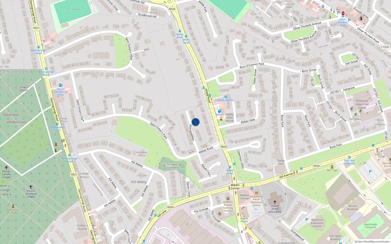 Overhead map showing the location of 22 Grange Abbey, Monkstown, Dublin