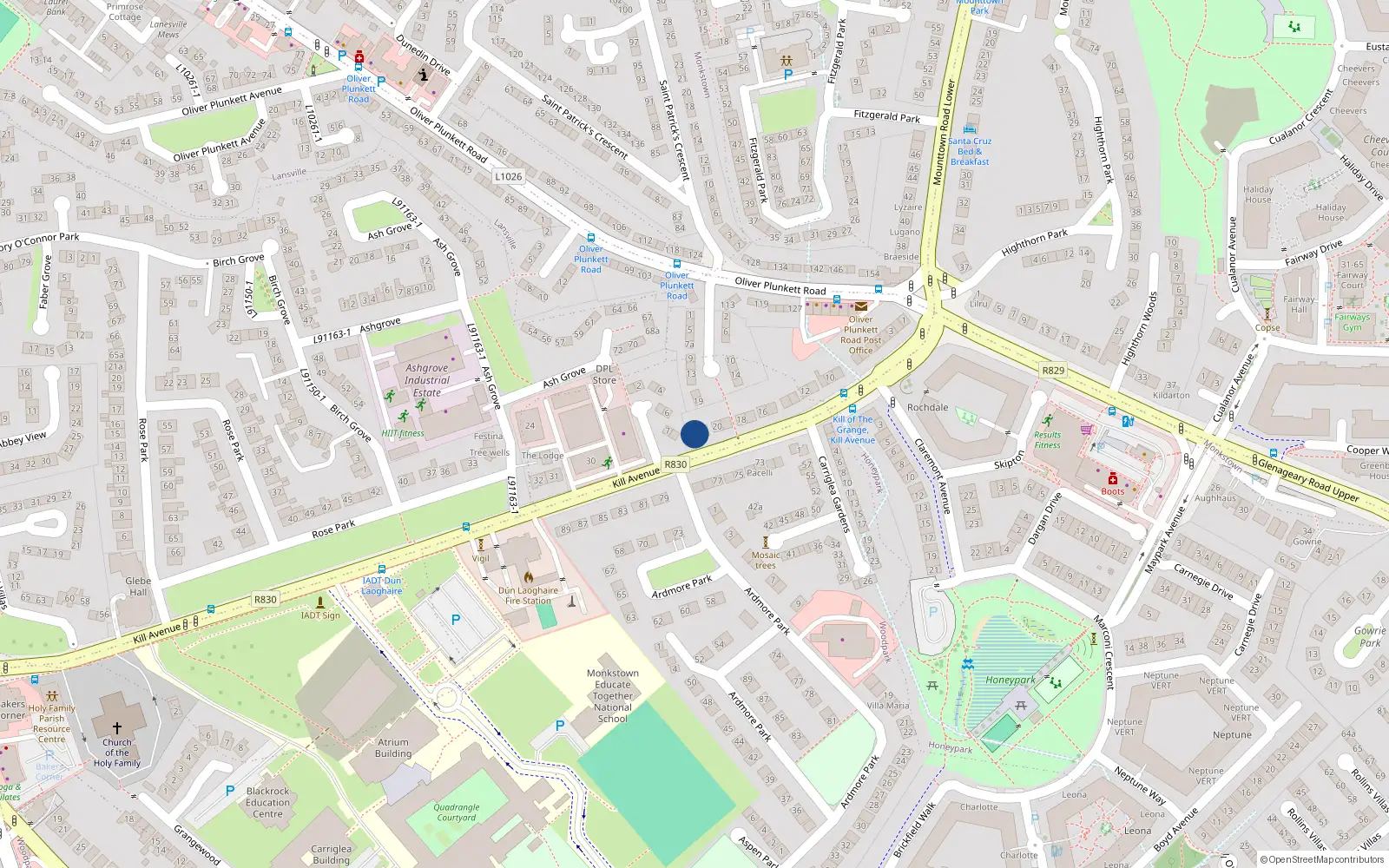 Overhead map showing the location of 22 Kill Avenue, Dublin