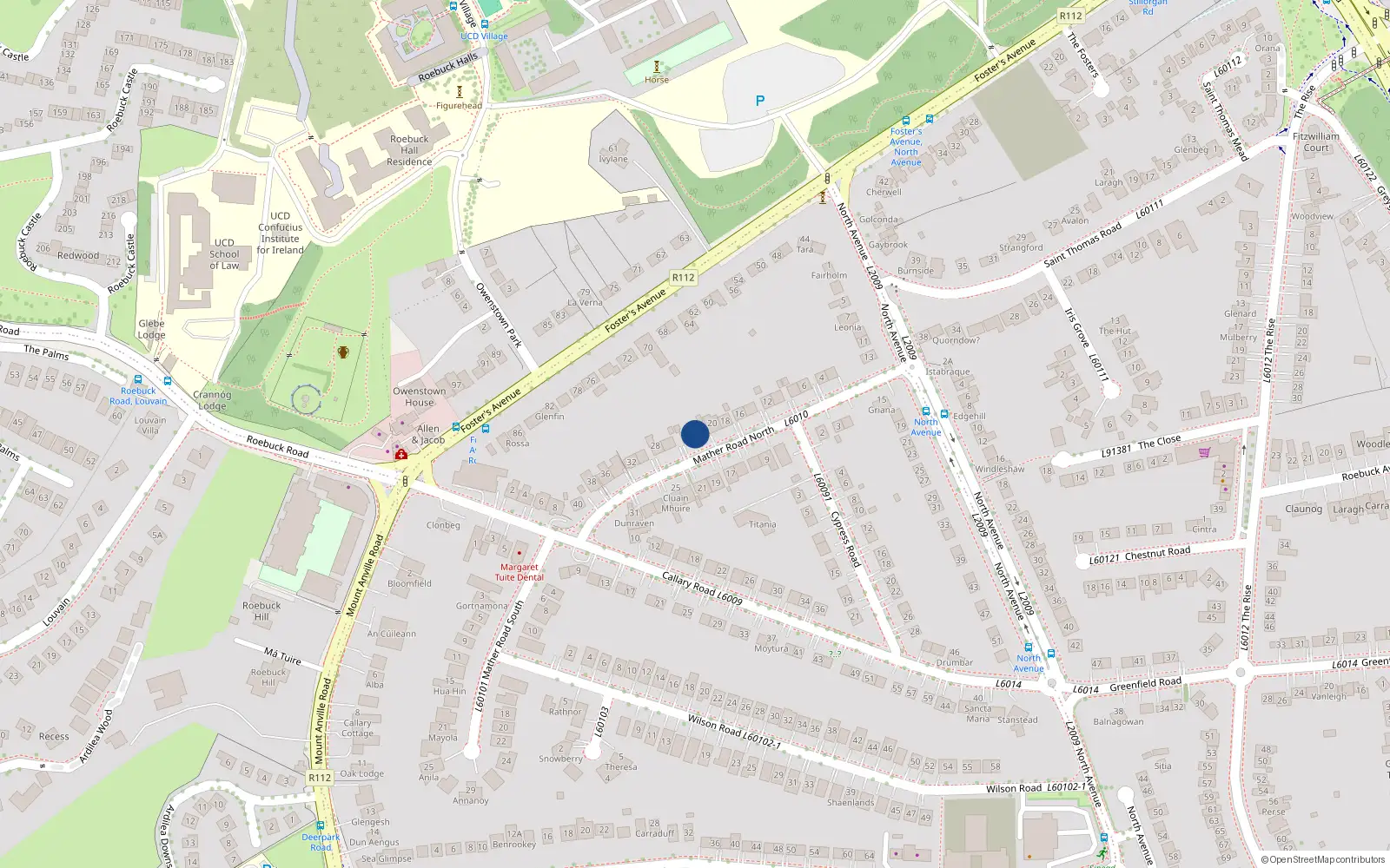 Overhead map showing the location of 22 Mather Road North, Blackrock